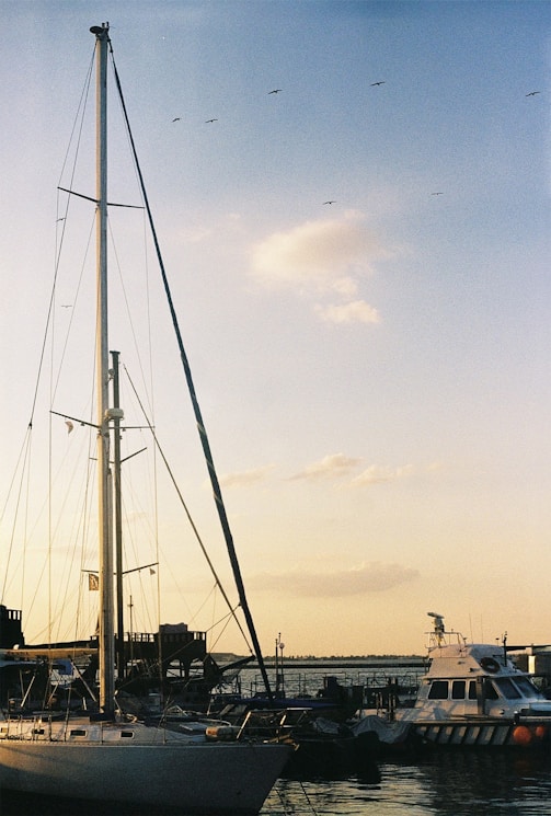 Sailboats docked at a harbor during sunset