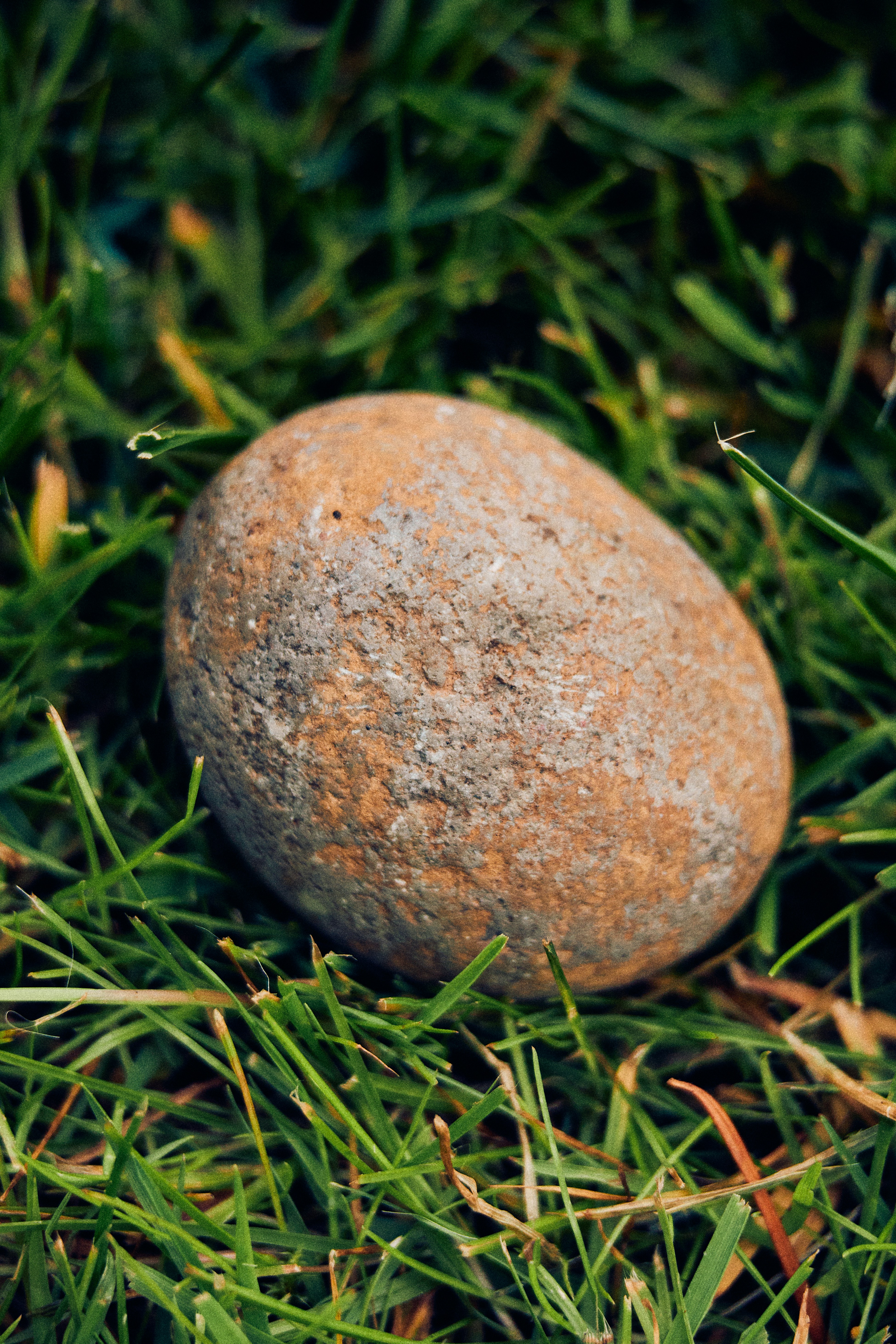 Photo by hiccupfromberk