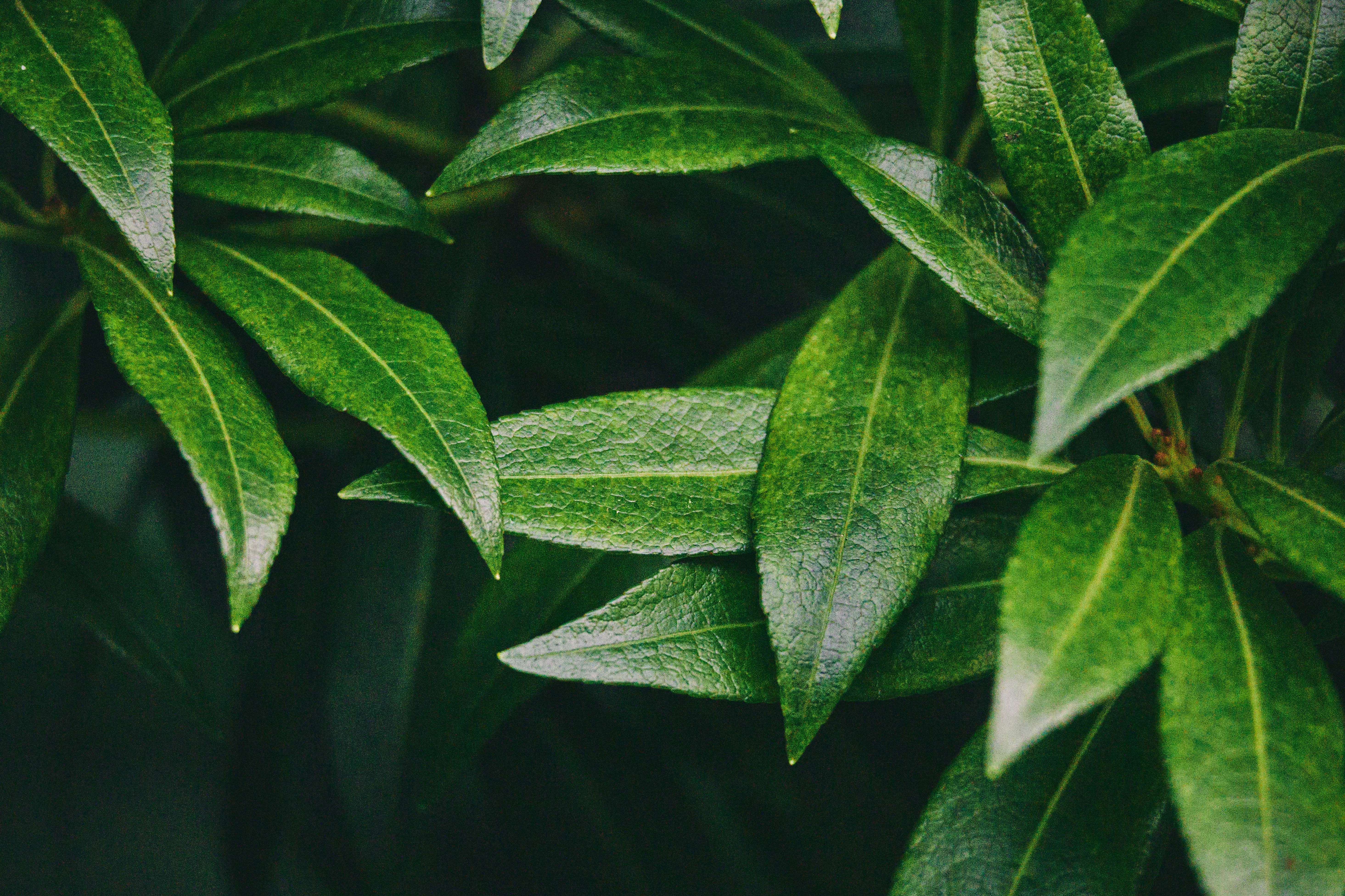 Photo by hiccupfromberk