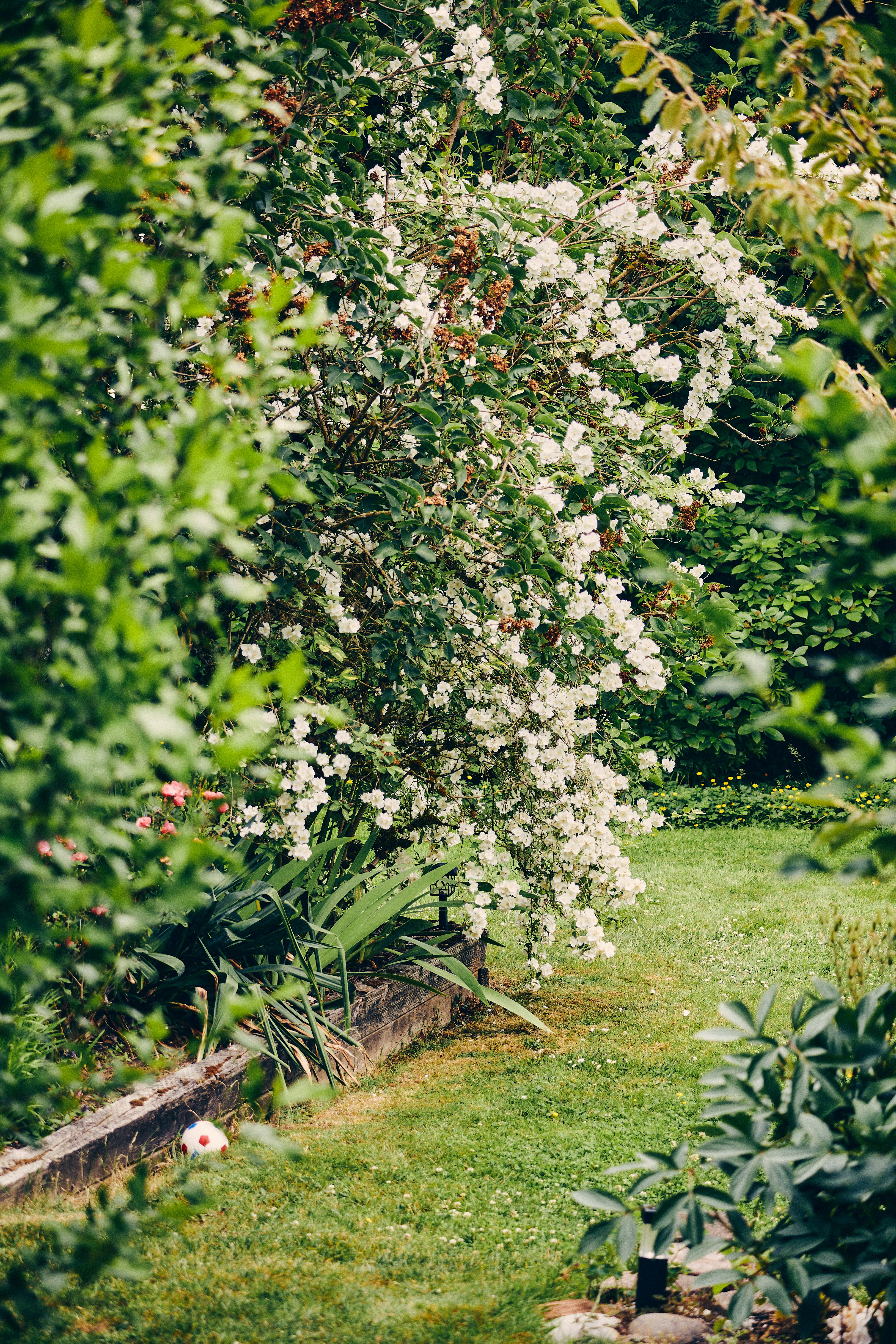 Photo by hiccupfromberk