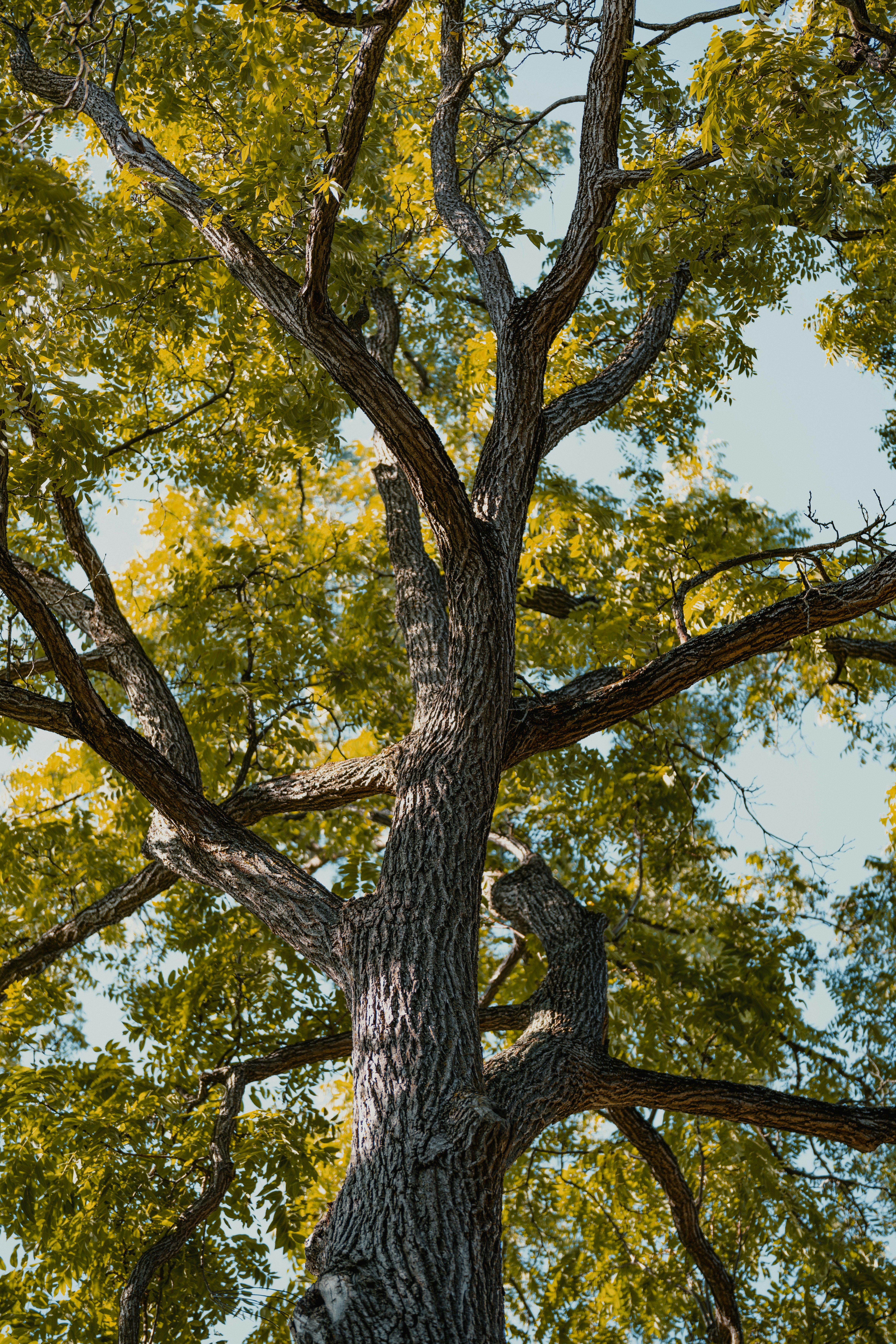 Photo by francotheshooter