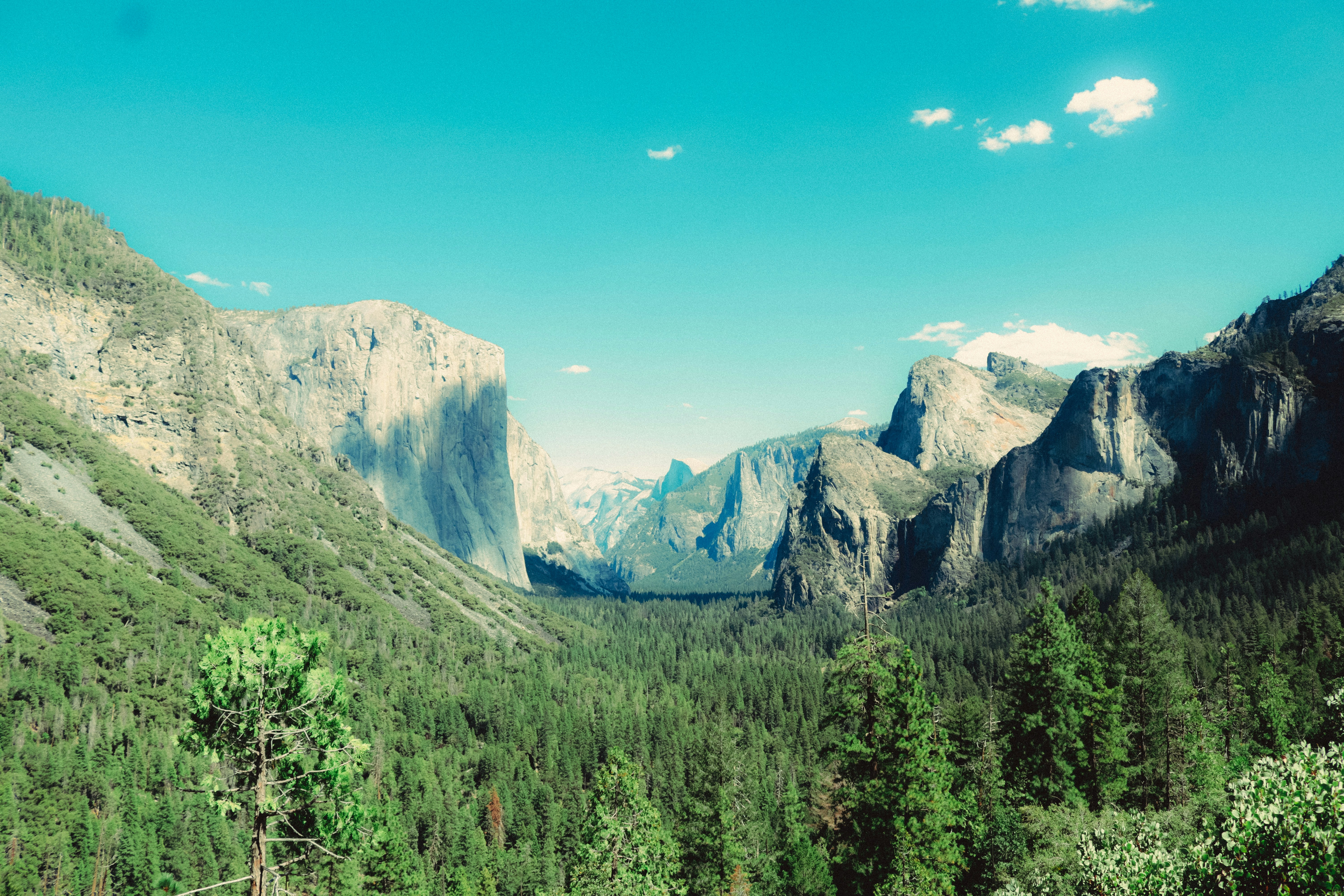 Photo by av_photography