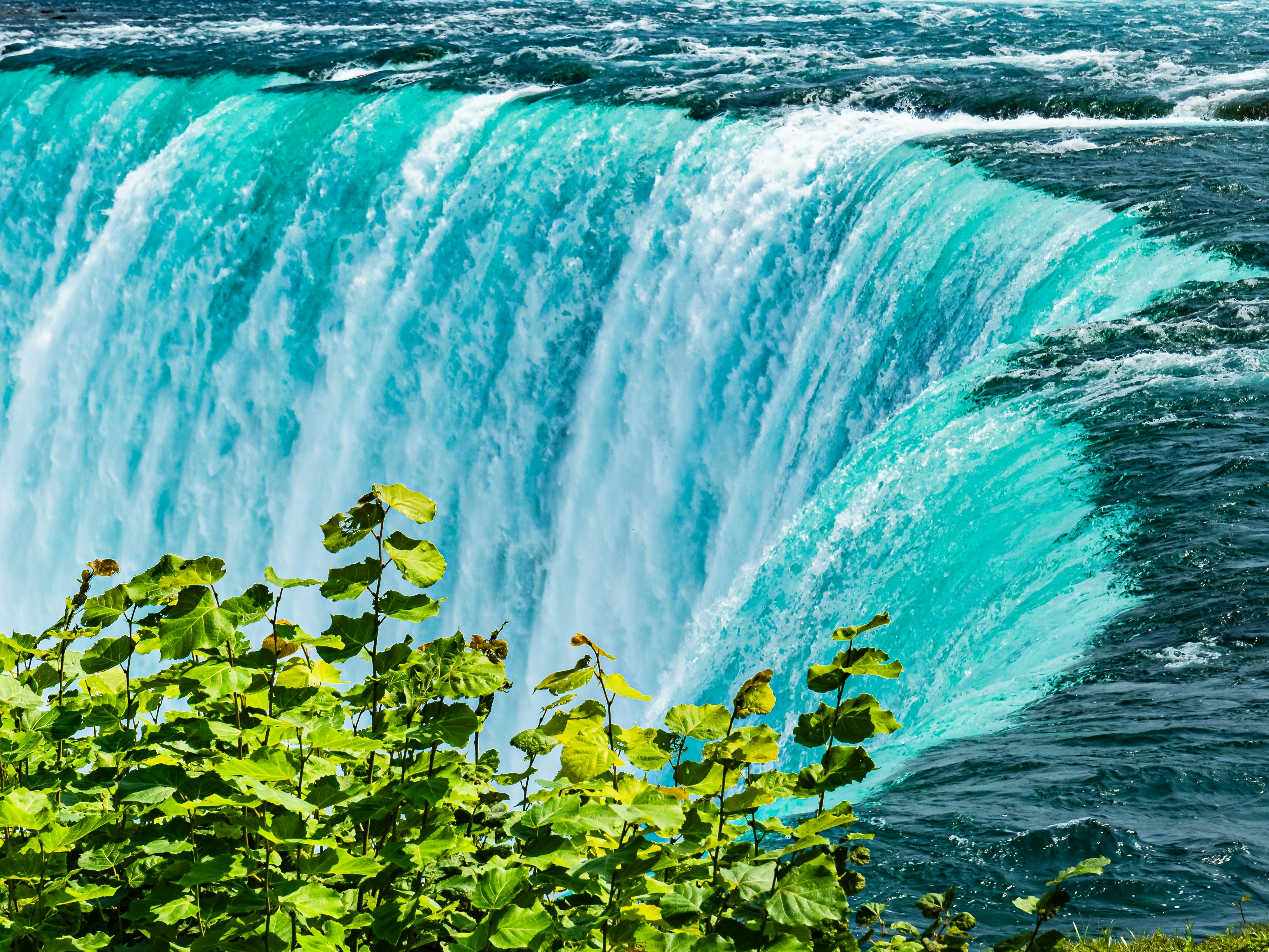 Photo by sschusterphotoart