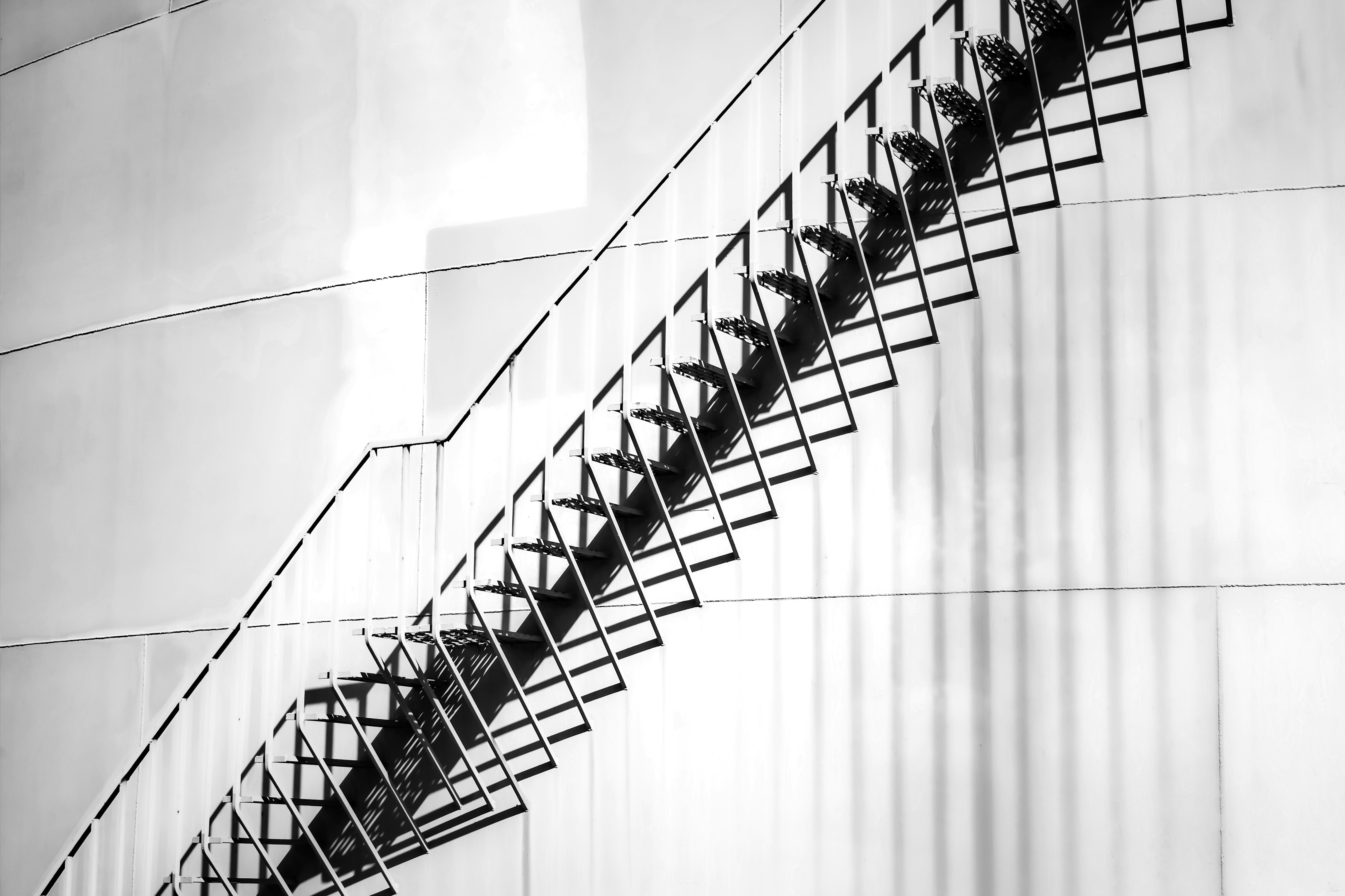 Photo by sschusterphotoart