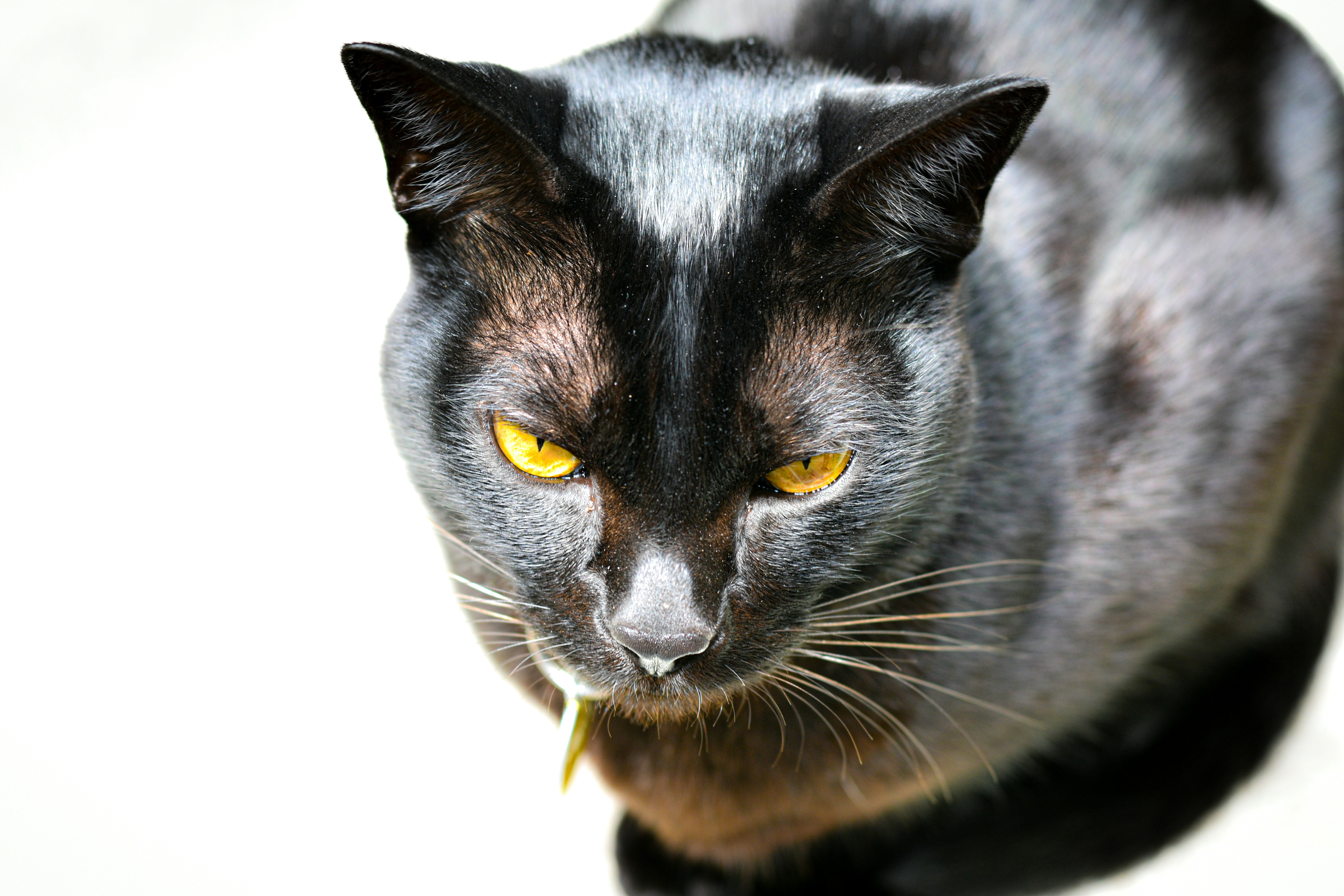 Photo by sschusterphotoart