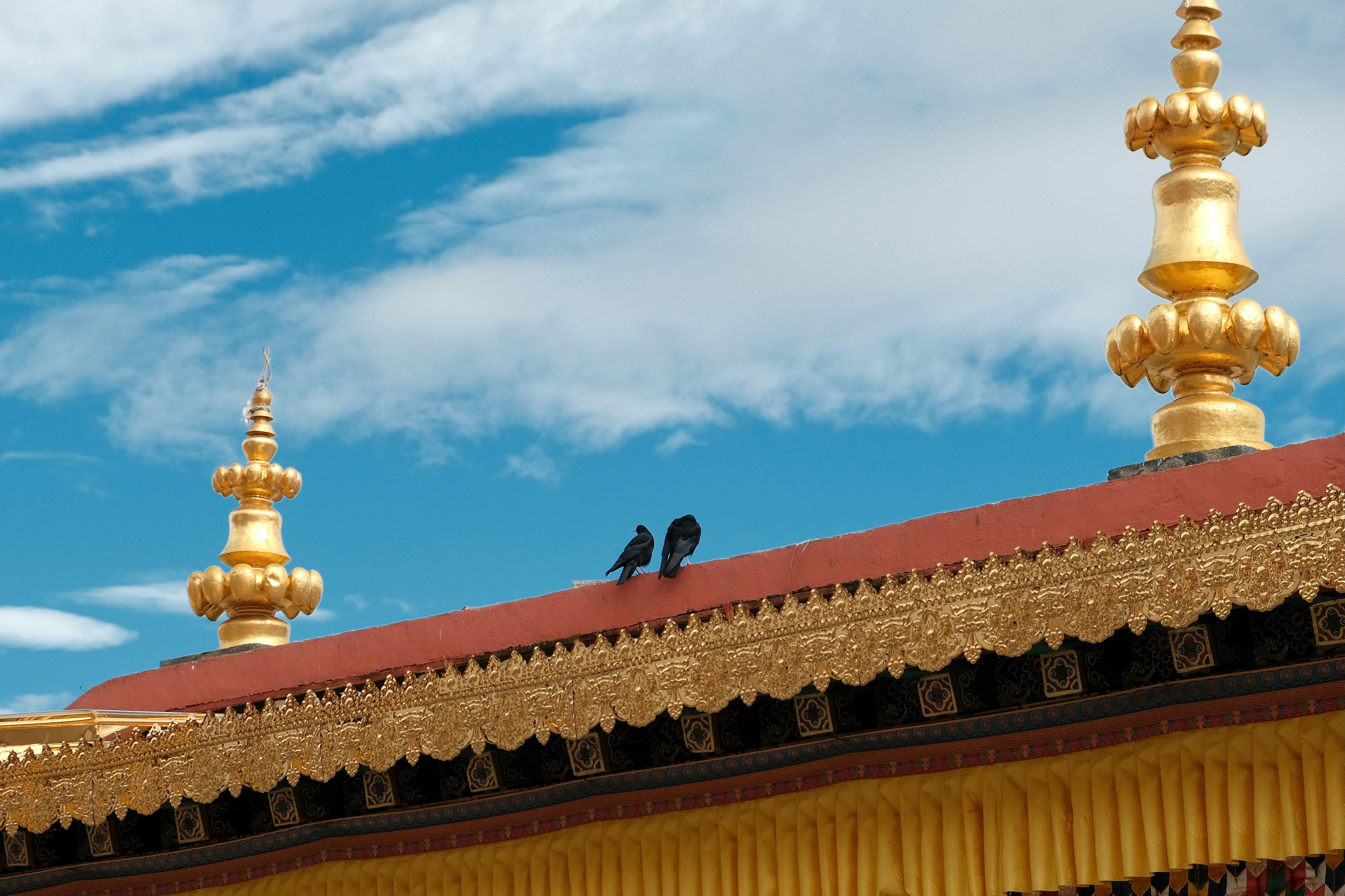 Two birds perched on a golden temple roof
