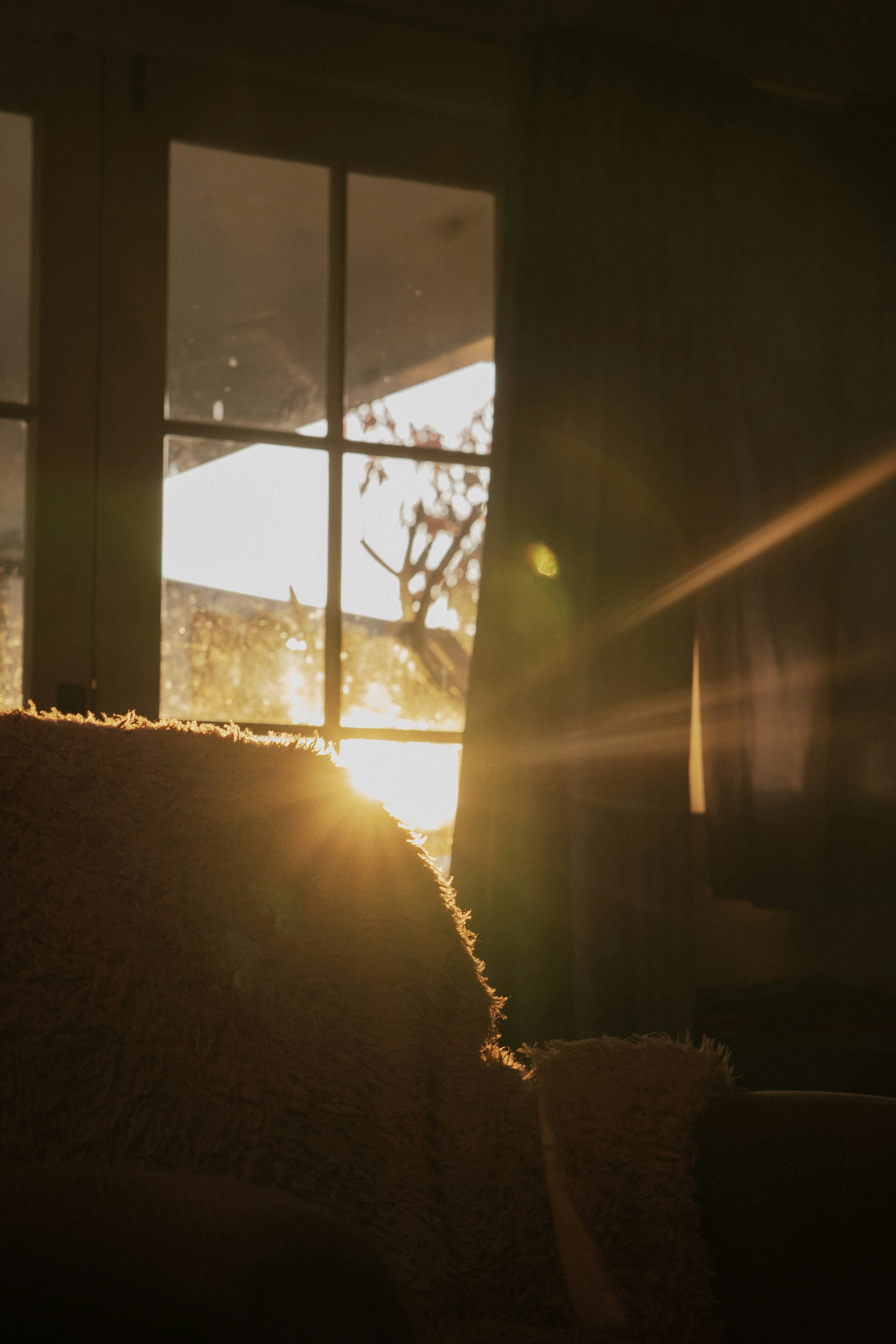 Photo by eden_tuaine