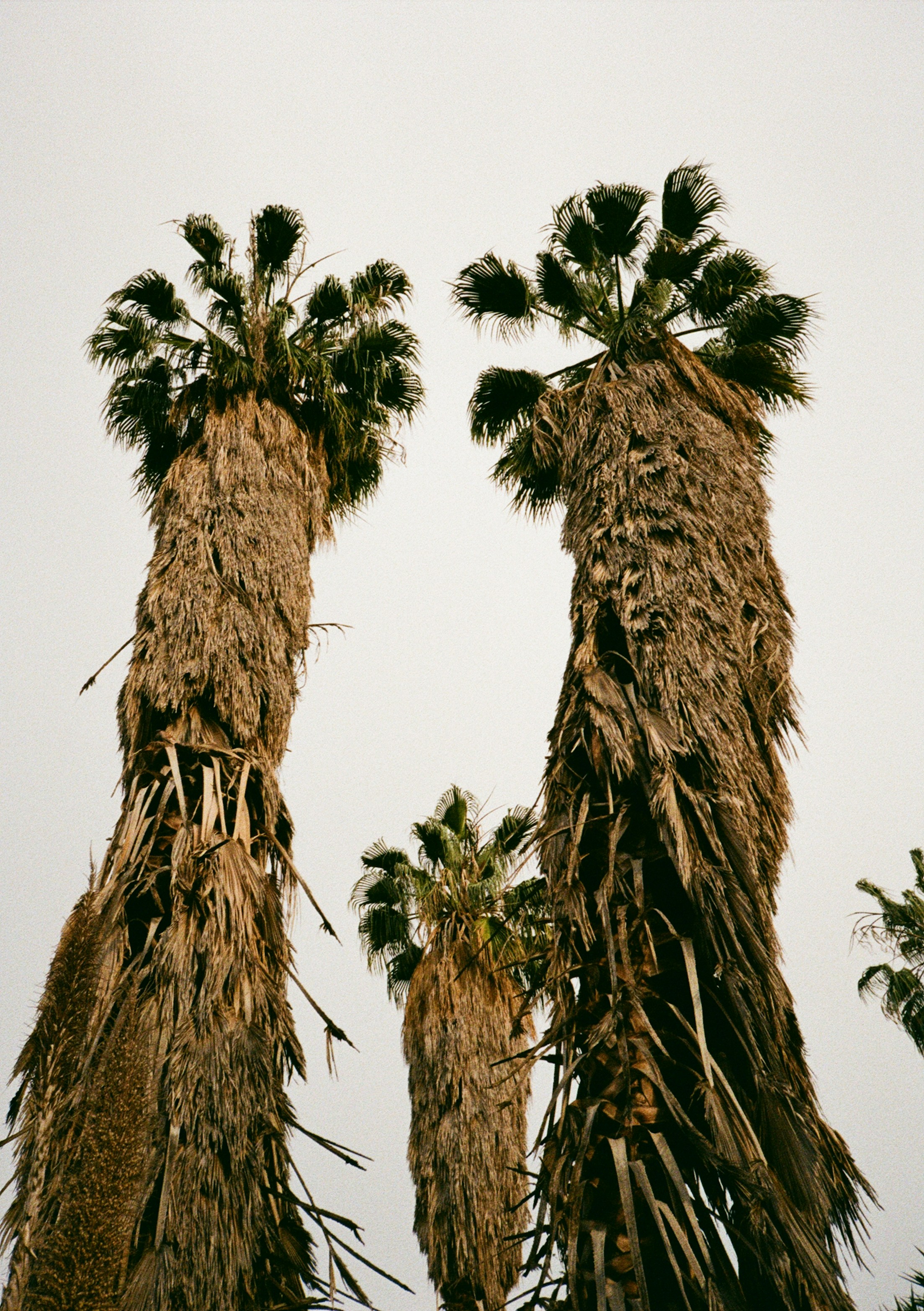 Daily Productive Sharing 1315 - Freedom of love