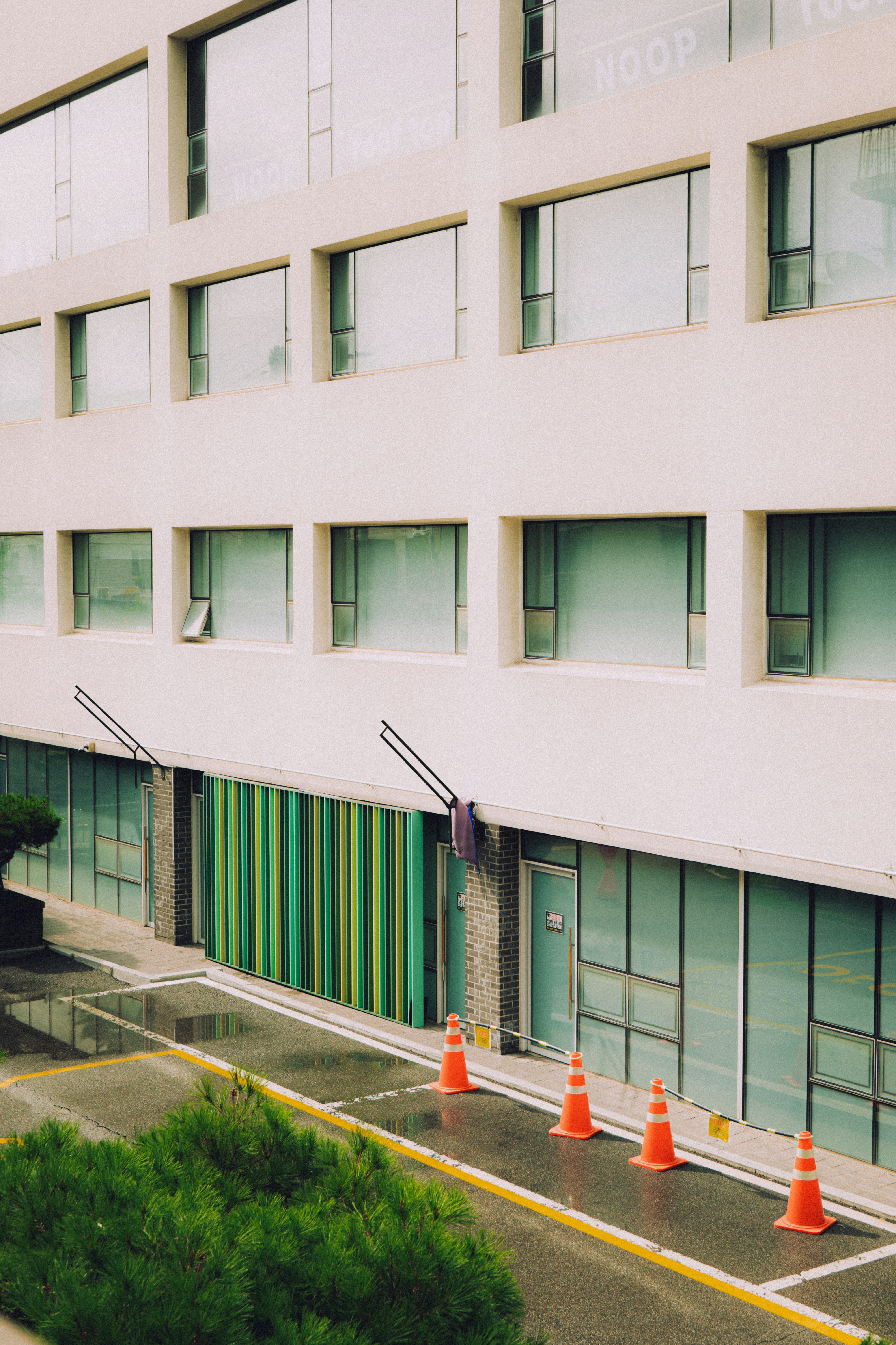 Photo by brother_yoon