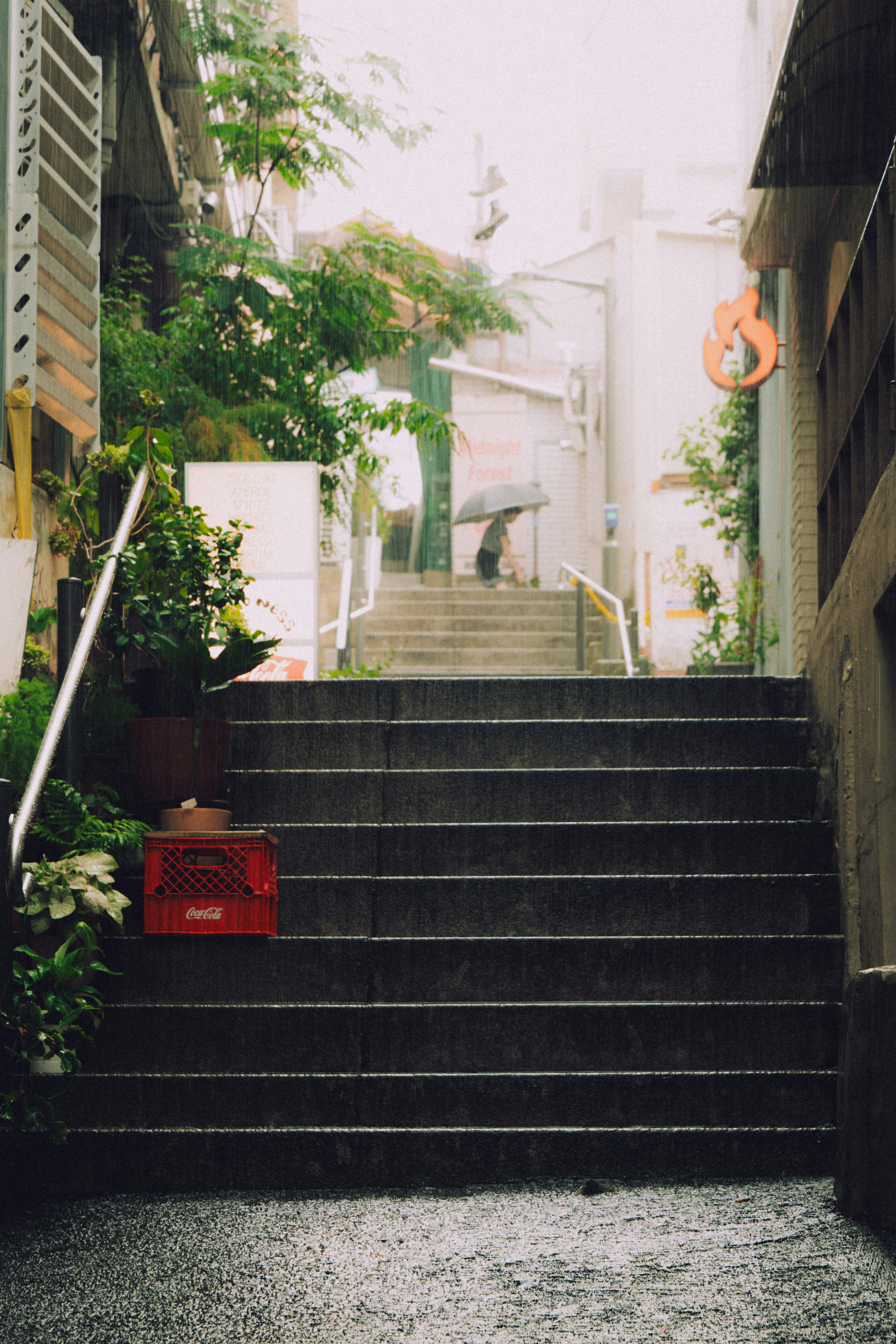 Photo by brother_yoon