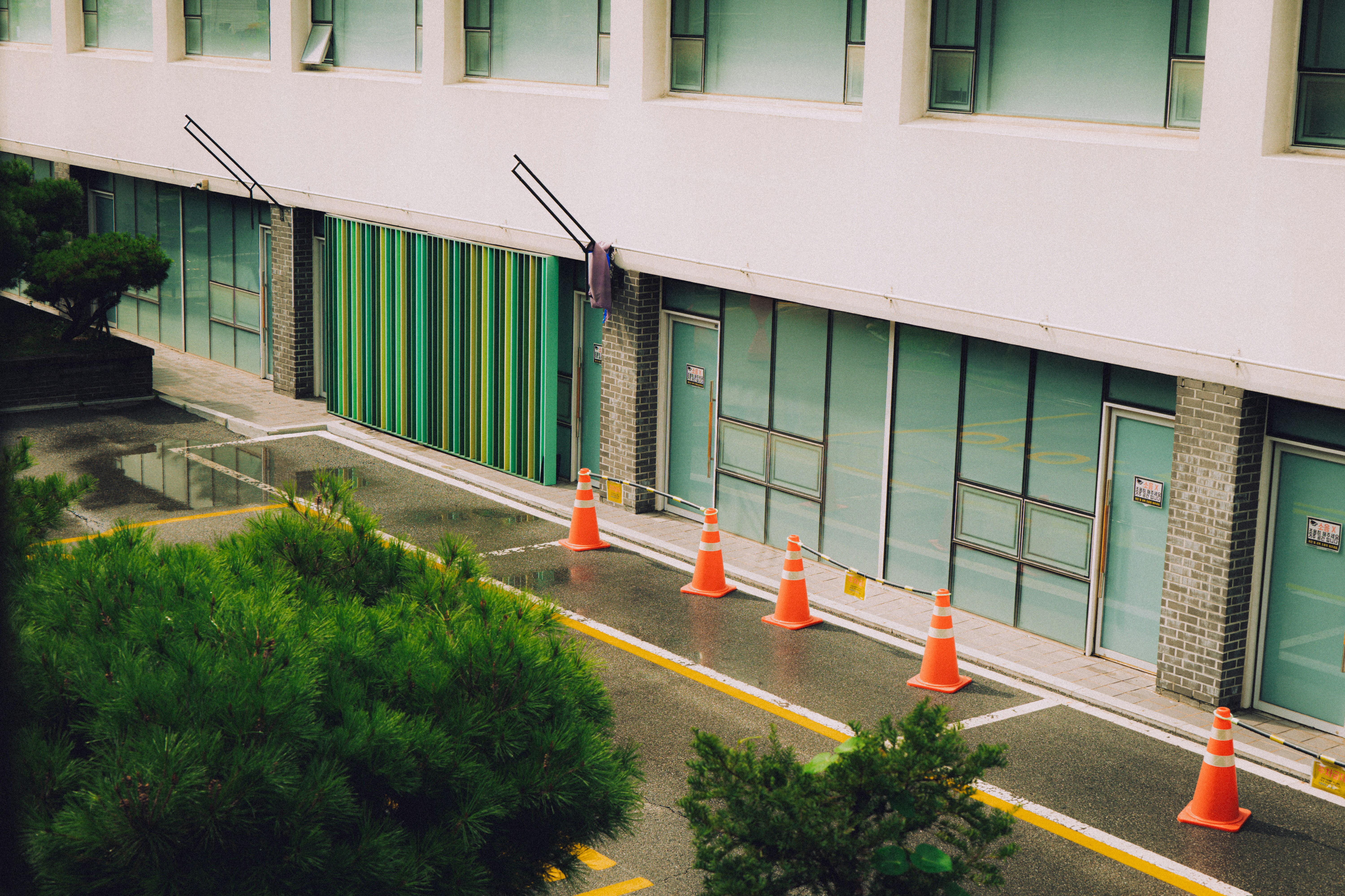 Photo by brother_yoon