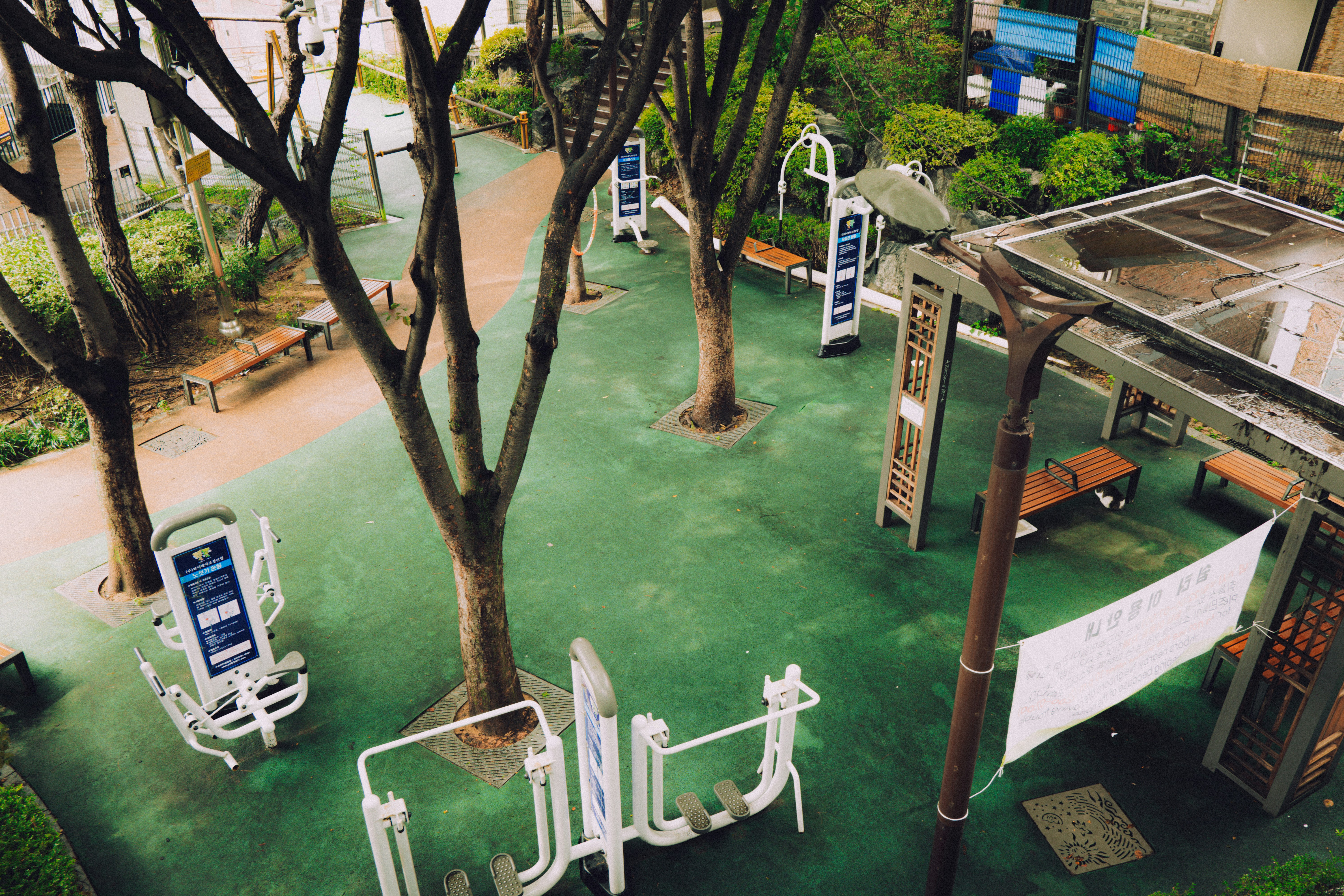 Outdoor gym equipment in a park with trees. photo – Free Image on Unsplash