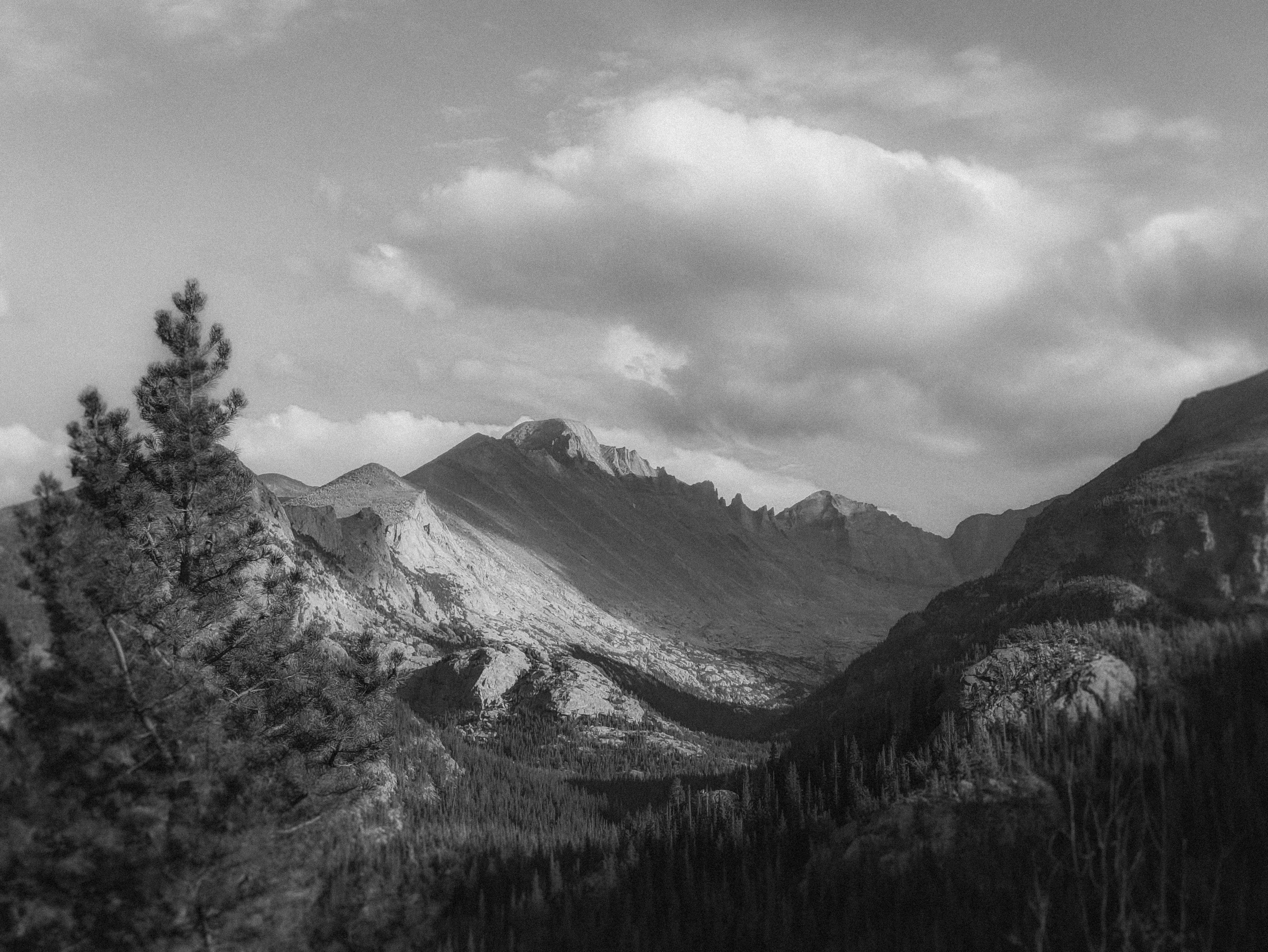 Photo by mrgreatheart