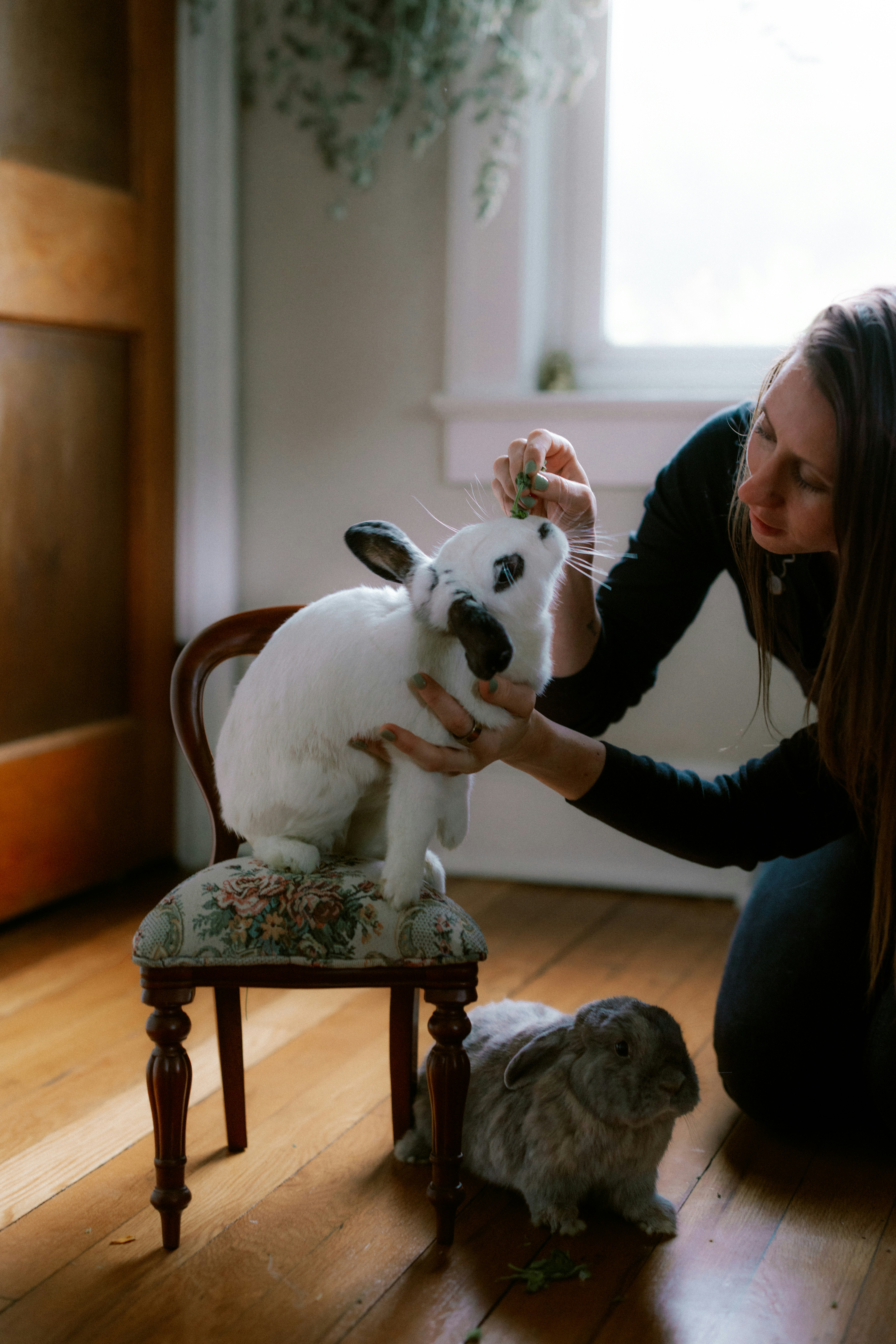9 Rabbit Care Feeding Tips for a Happy and Healthy Bunny