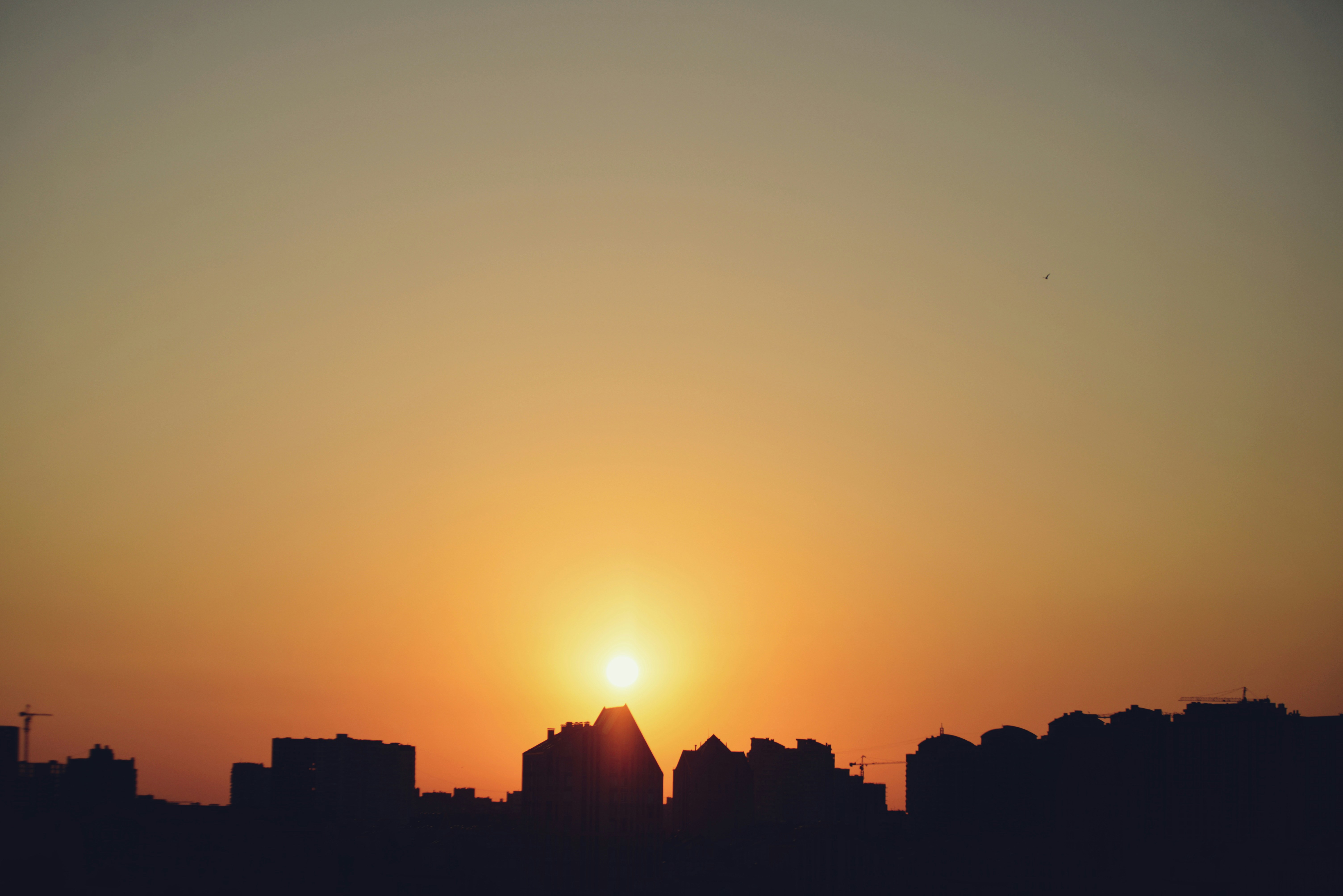 Photo by cherstve_pechivo