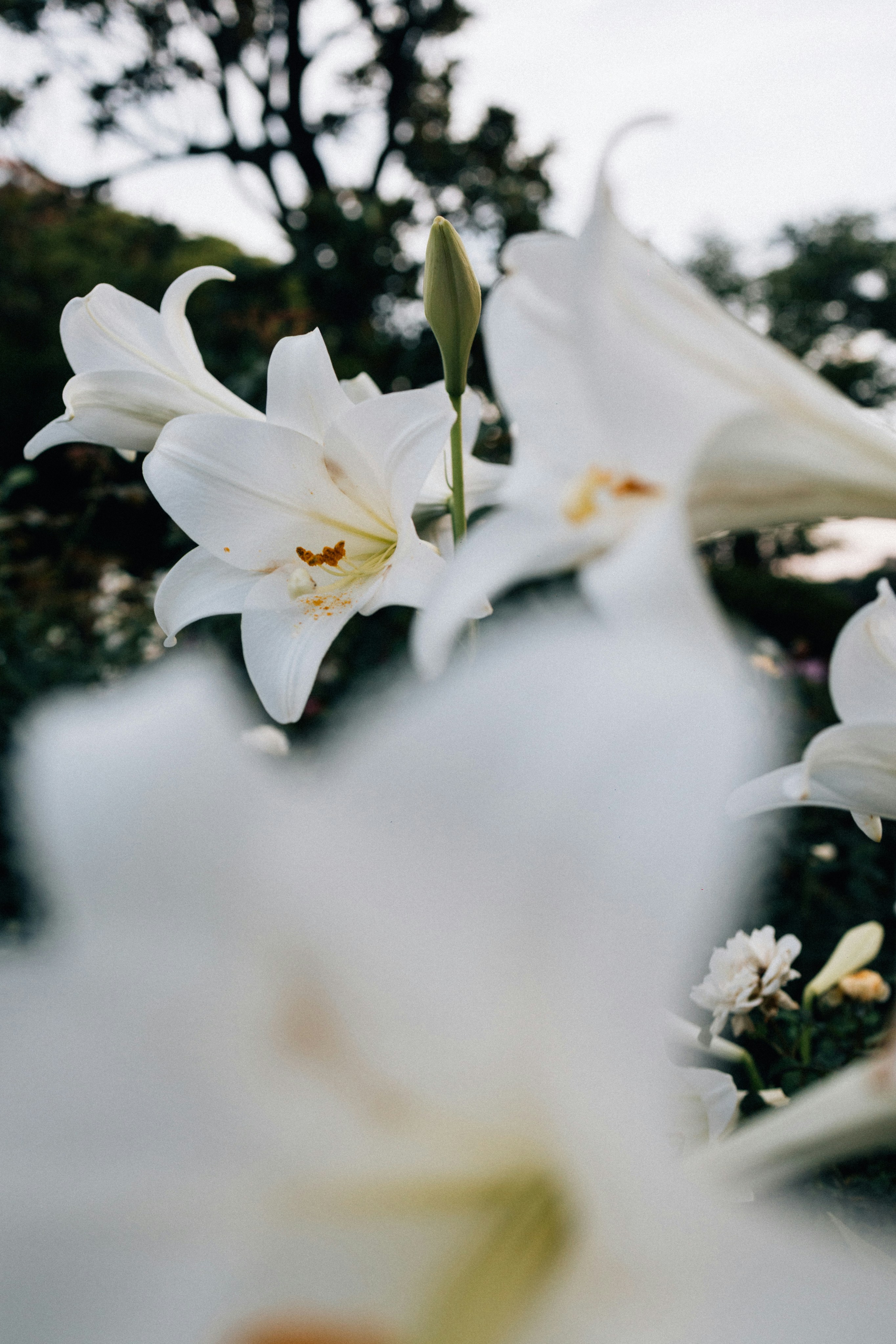 Photo by tsuyoshikozu