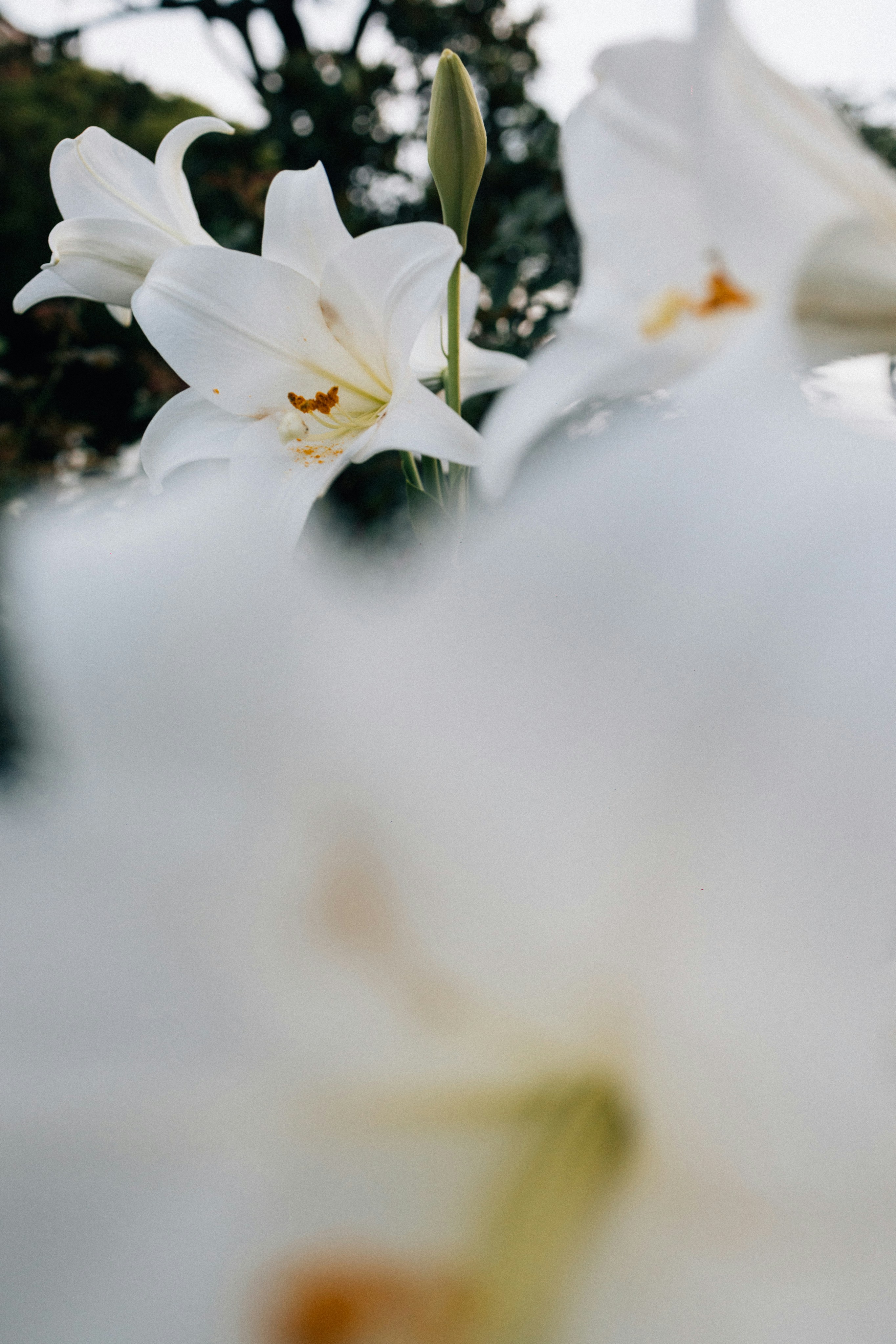 Photo by tsuyoshikozu