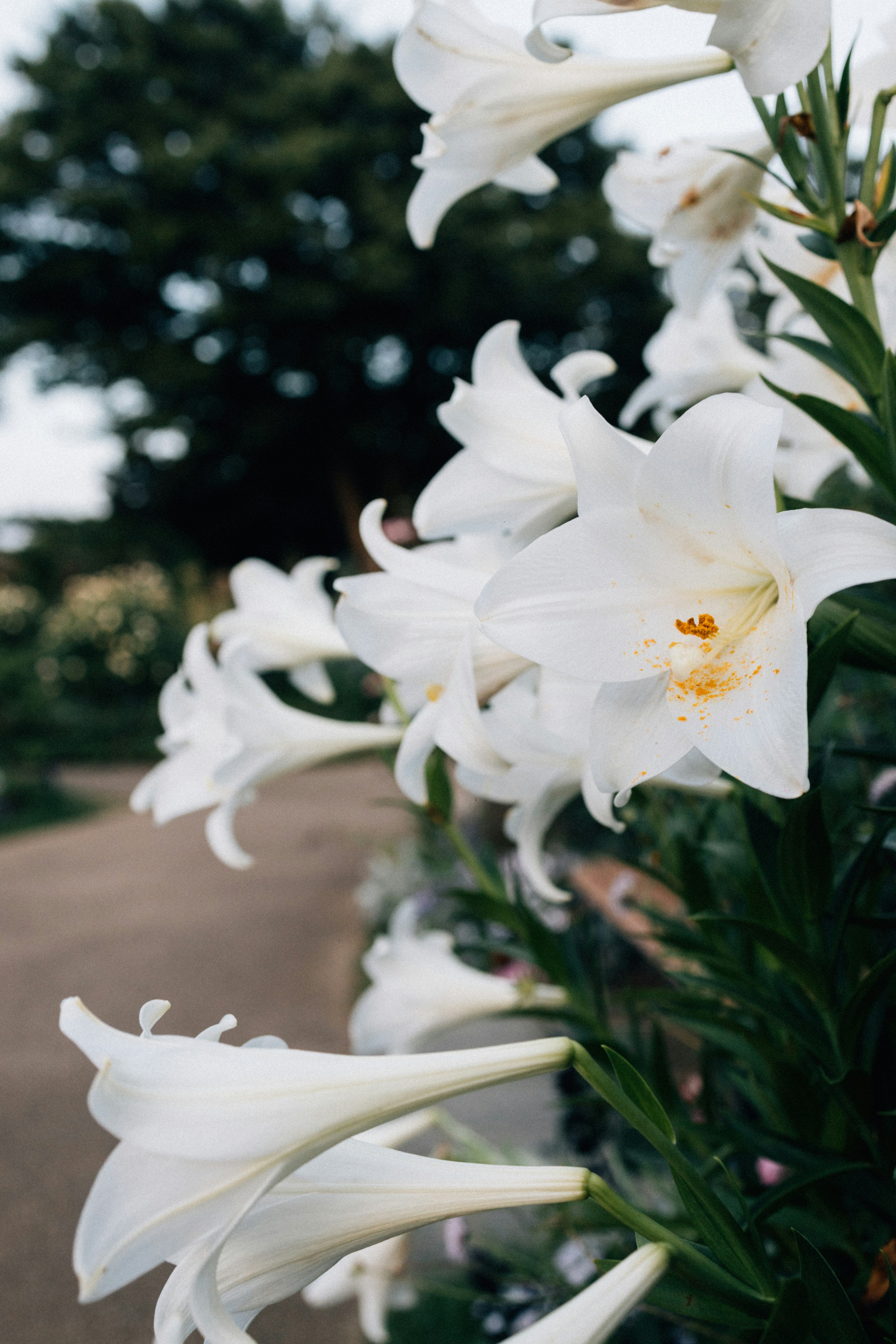 Photo by tsuyoshikozu