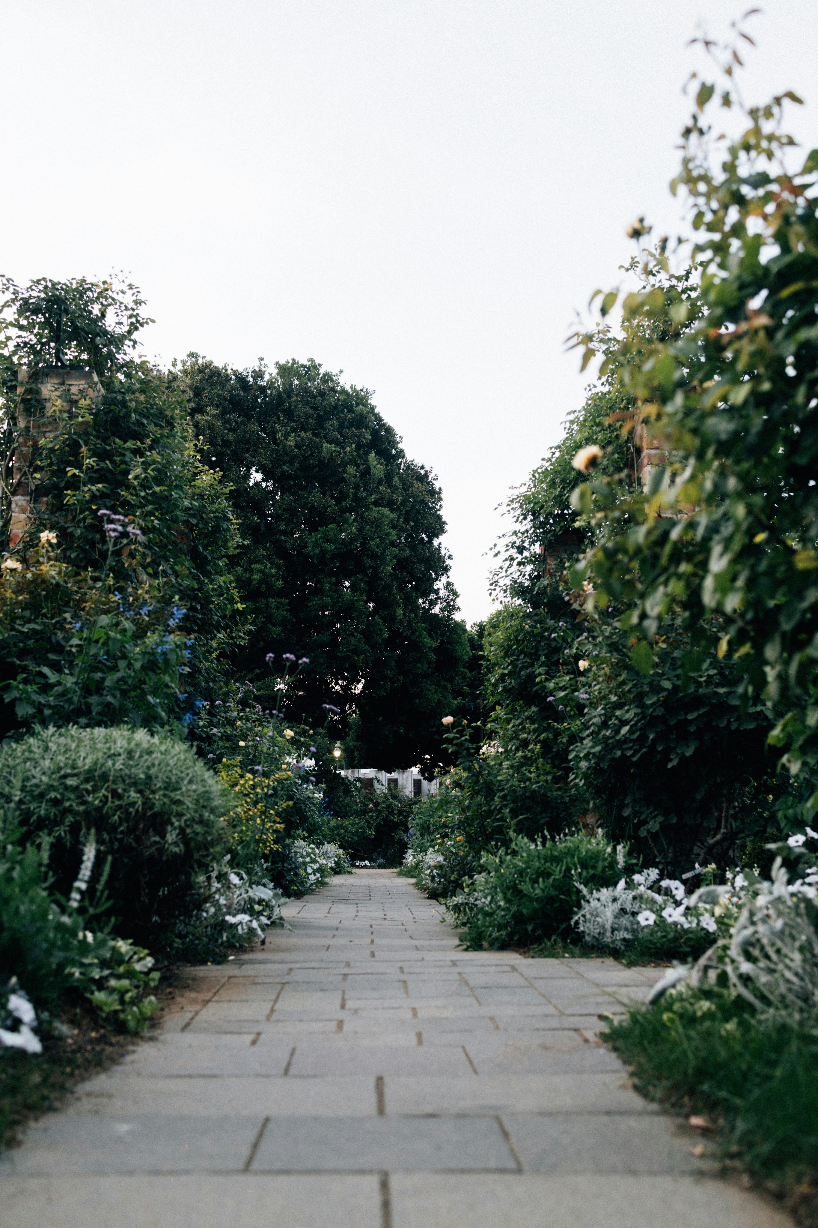 Photo by tsuyoshikozu