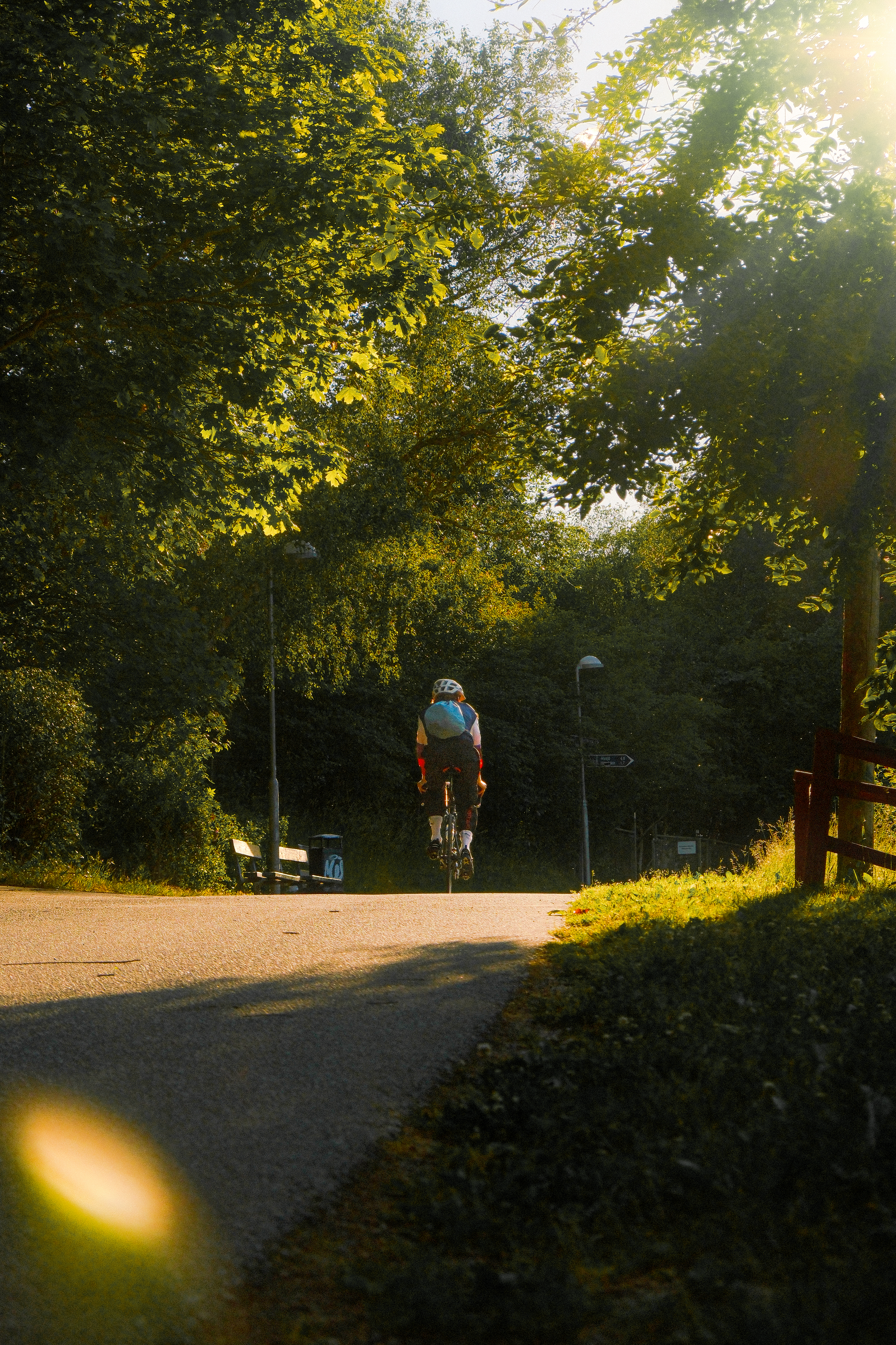 Cyclist rides on a sunlit path through trees