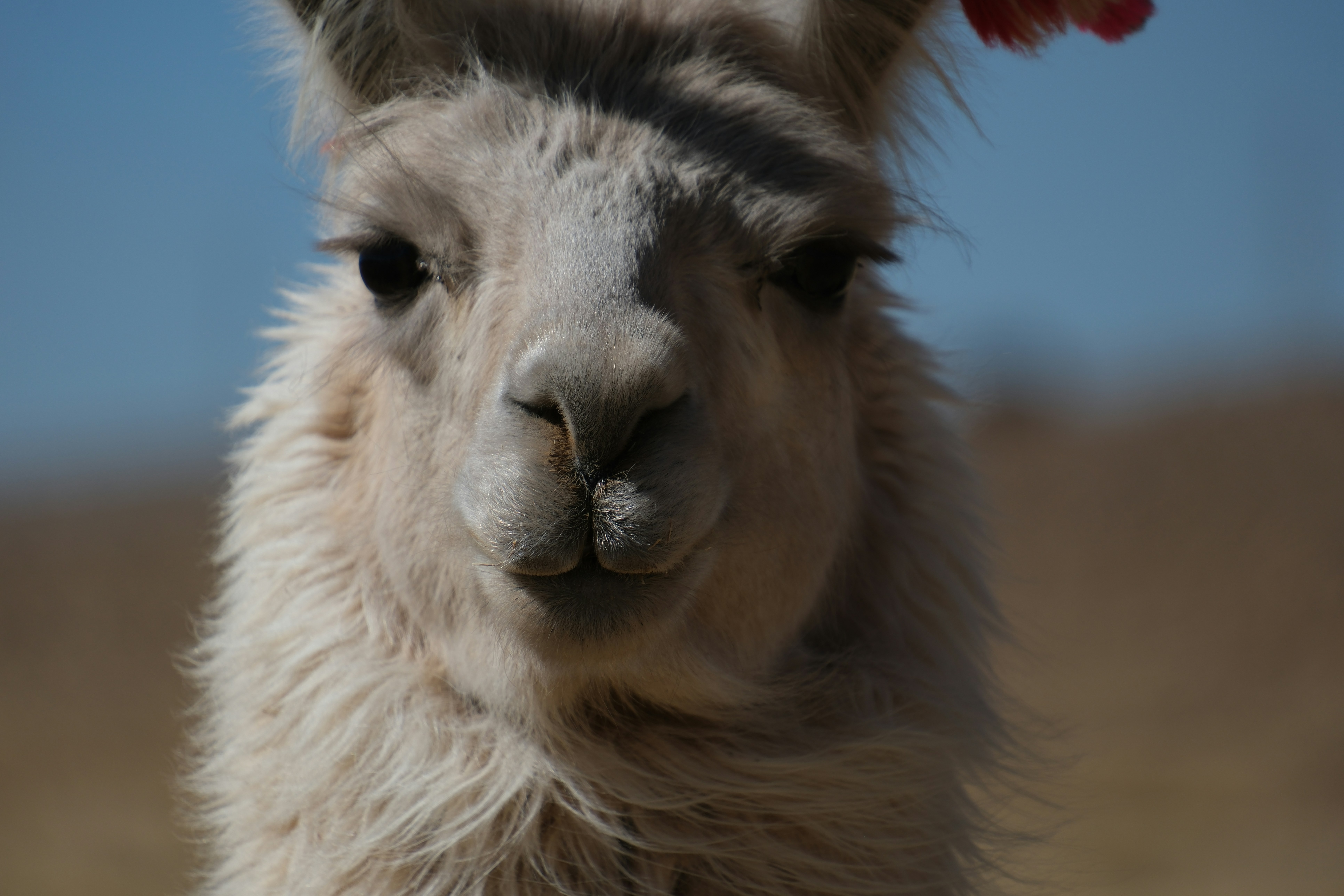 Photo by worldchris75