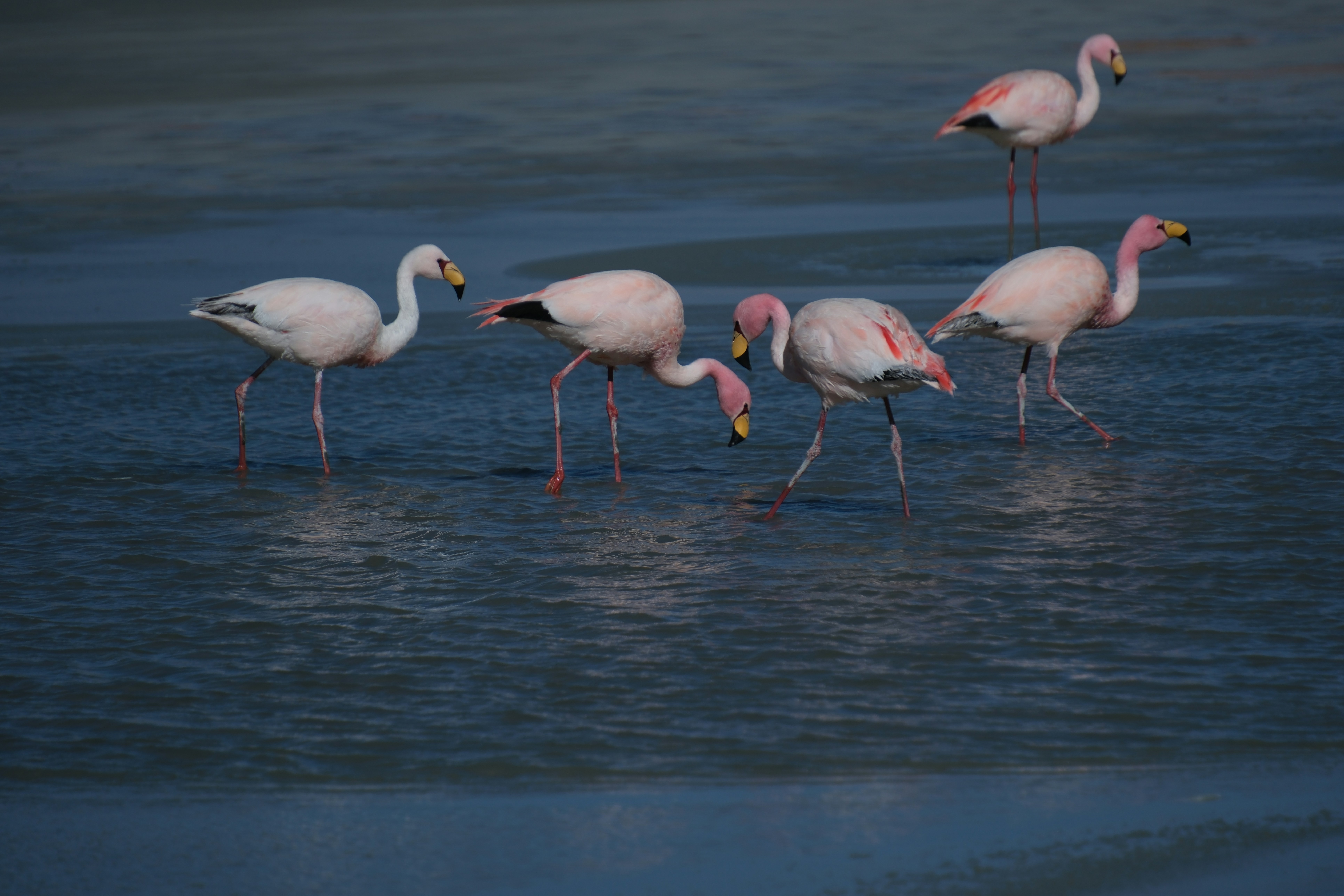 Photo by worldchris75