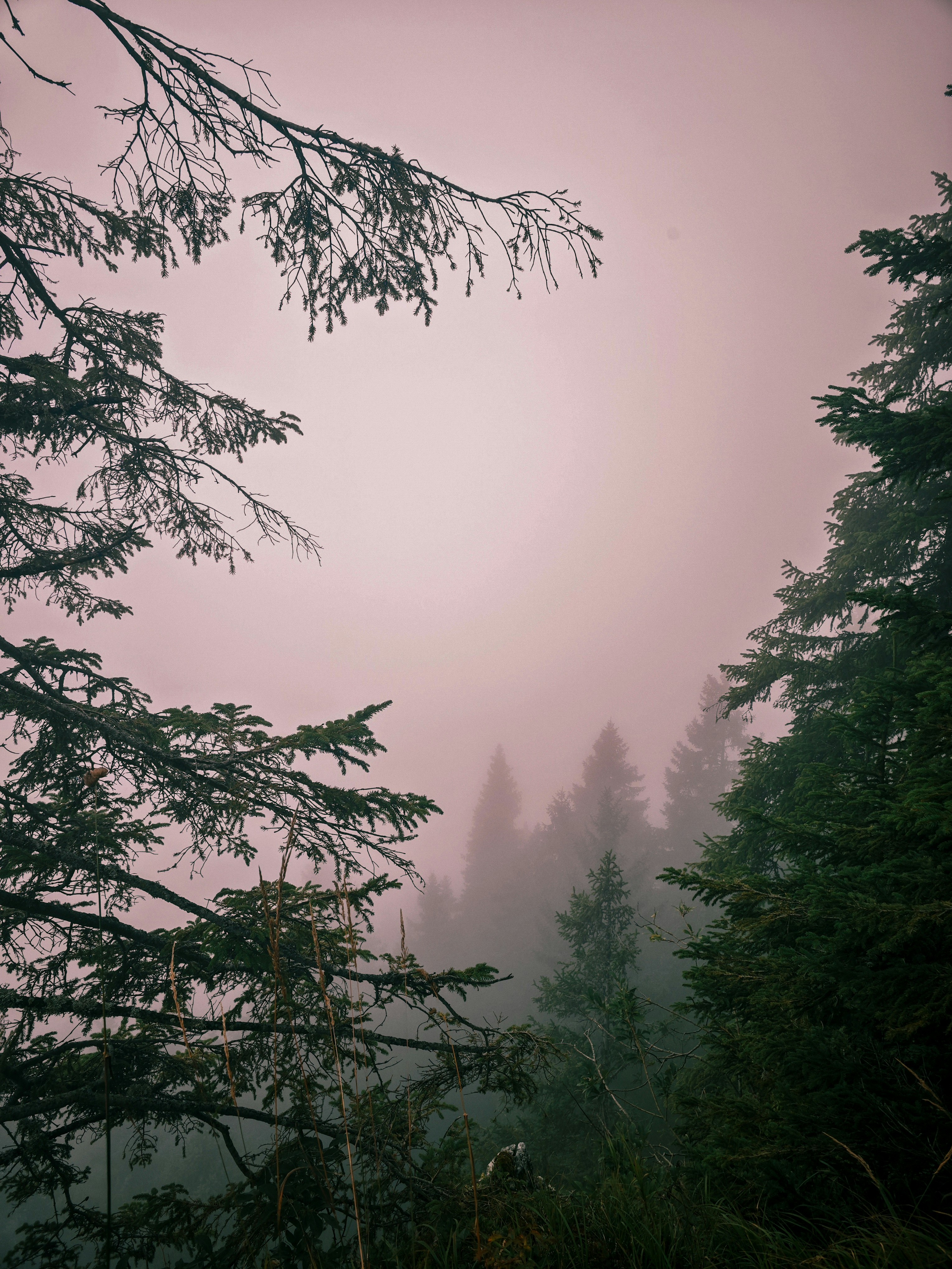 Photo by carlos_justaguy