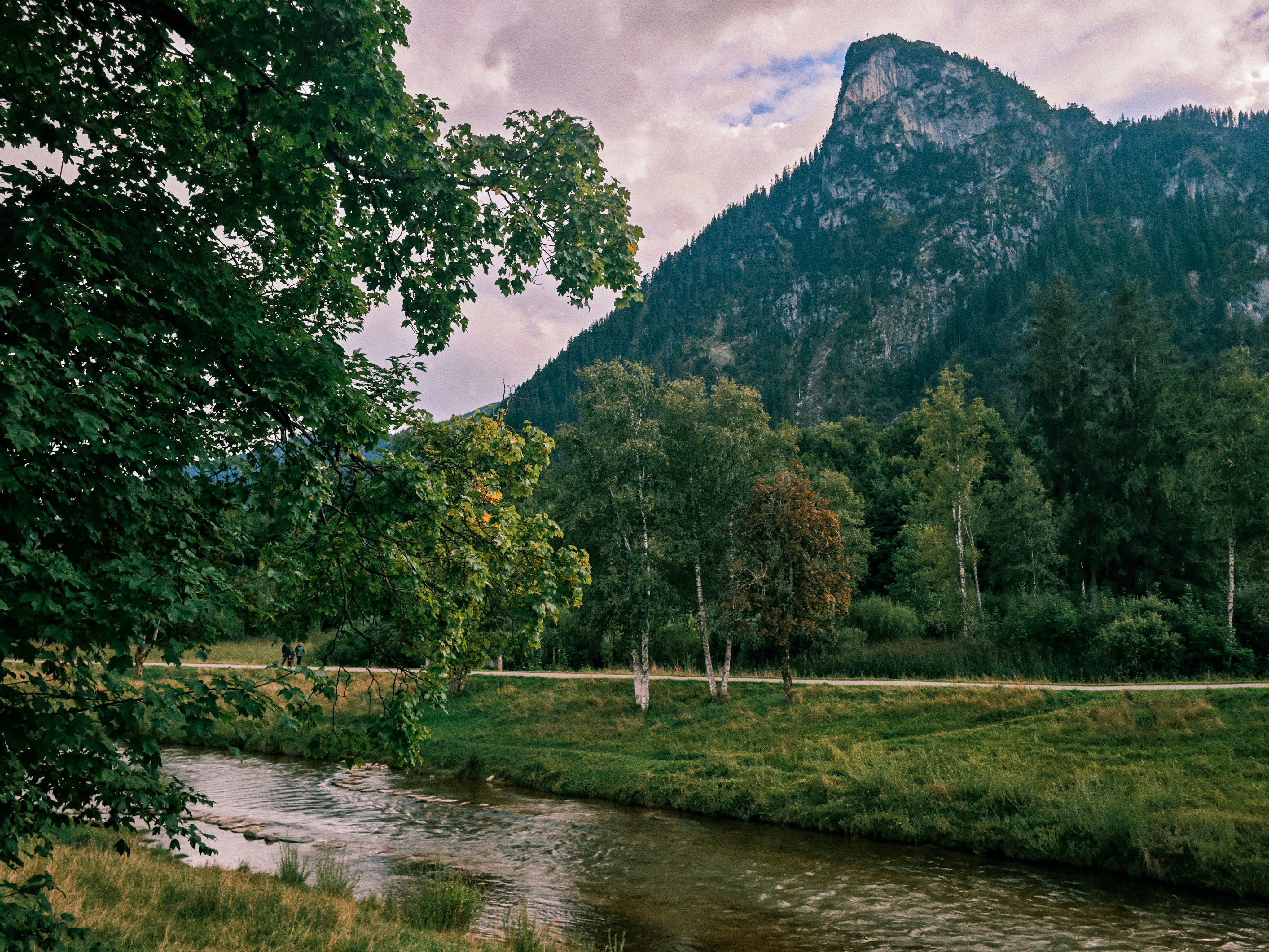 Mountain landscape with a river and trees photo – Free View Image on ...