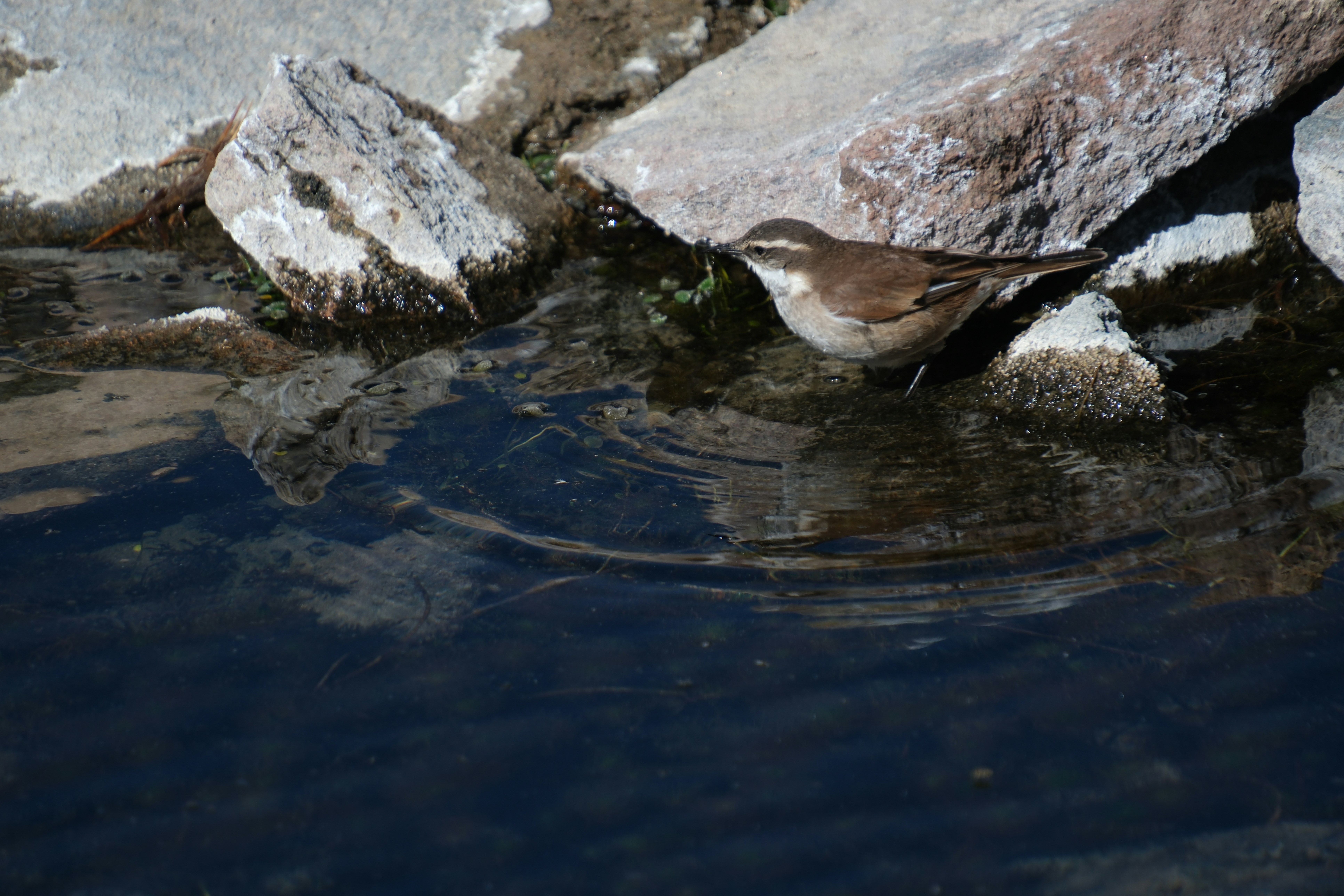 Photo by worldchris75