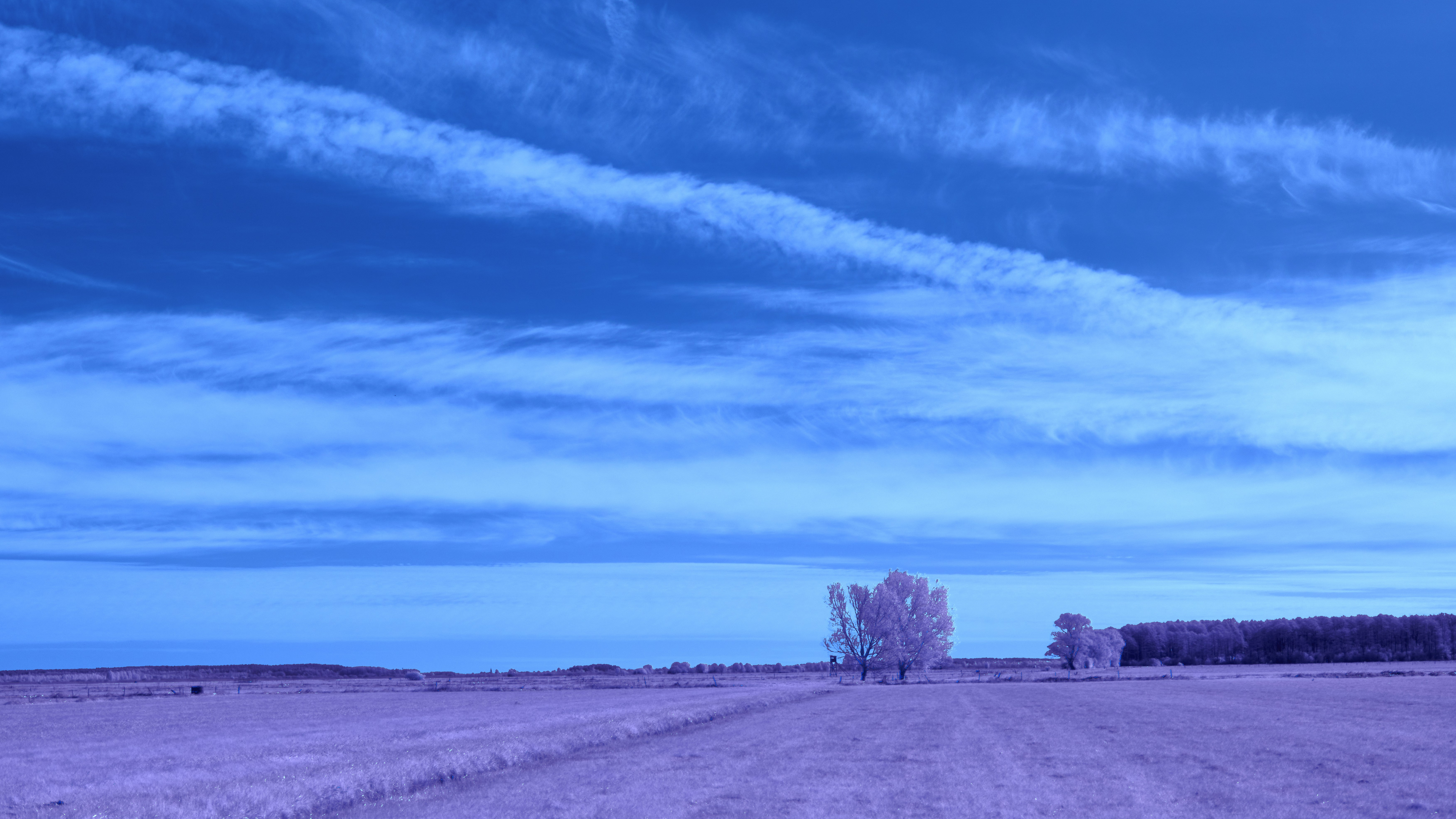 Photo by wolfgang_hasselmann