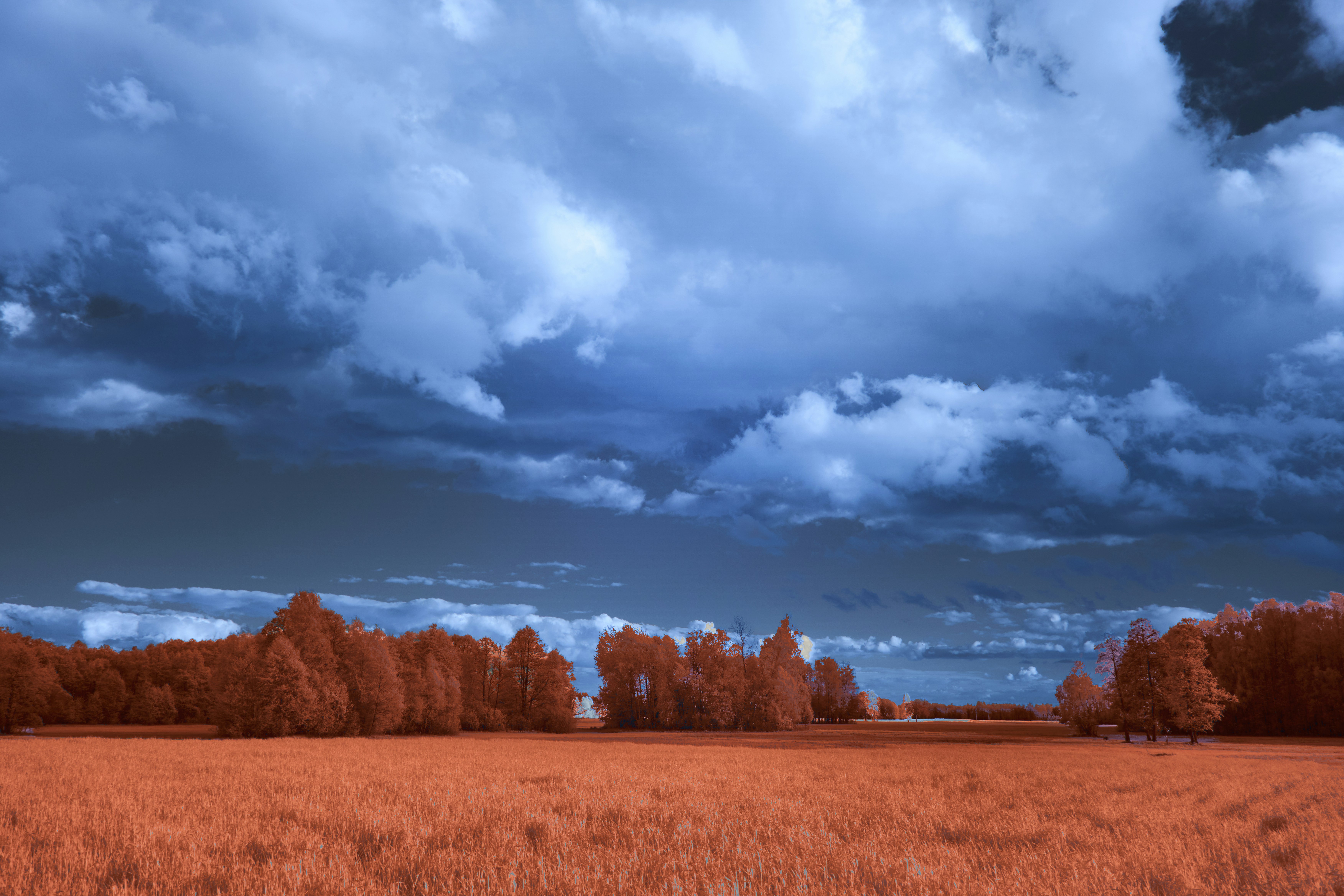 Photo by wolfgang_hasselmann