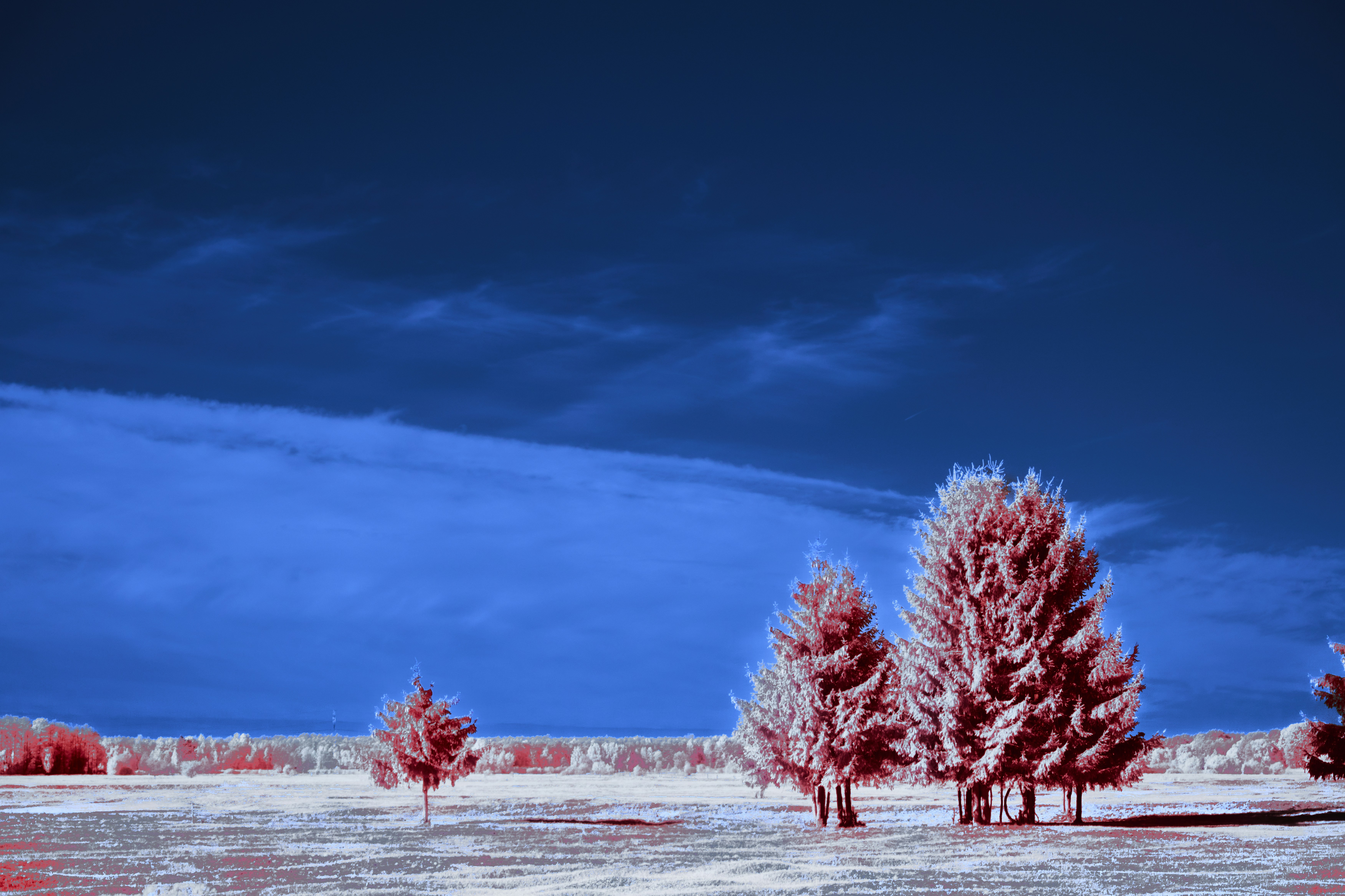 Photo by wolfgang_hasselmann