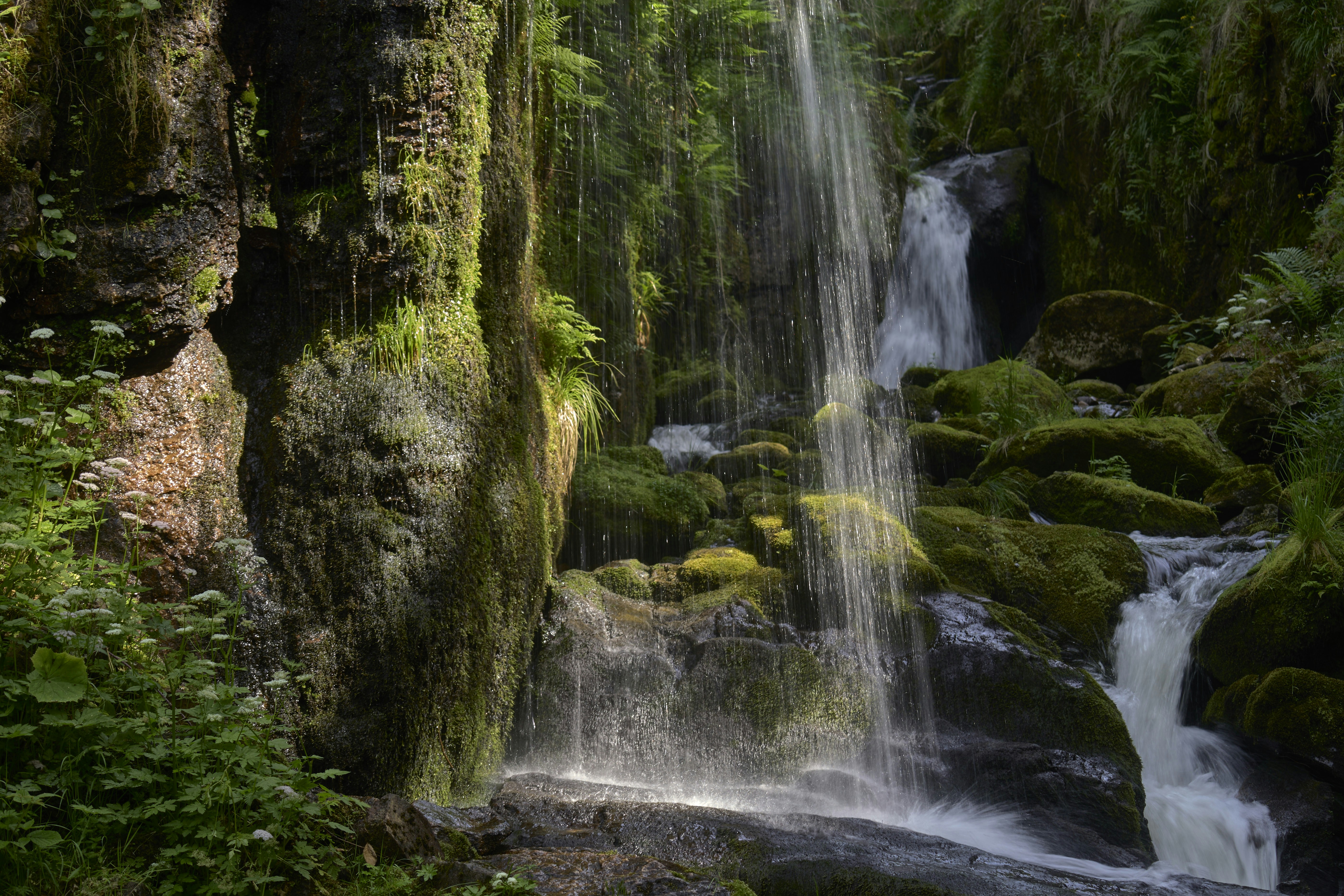 Photo by wolfgang_hasselmann