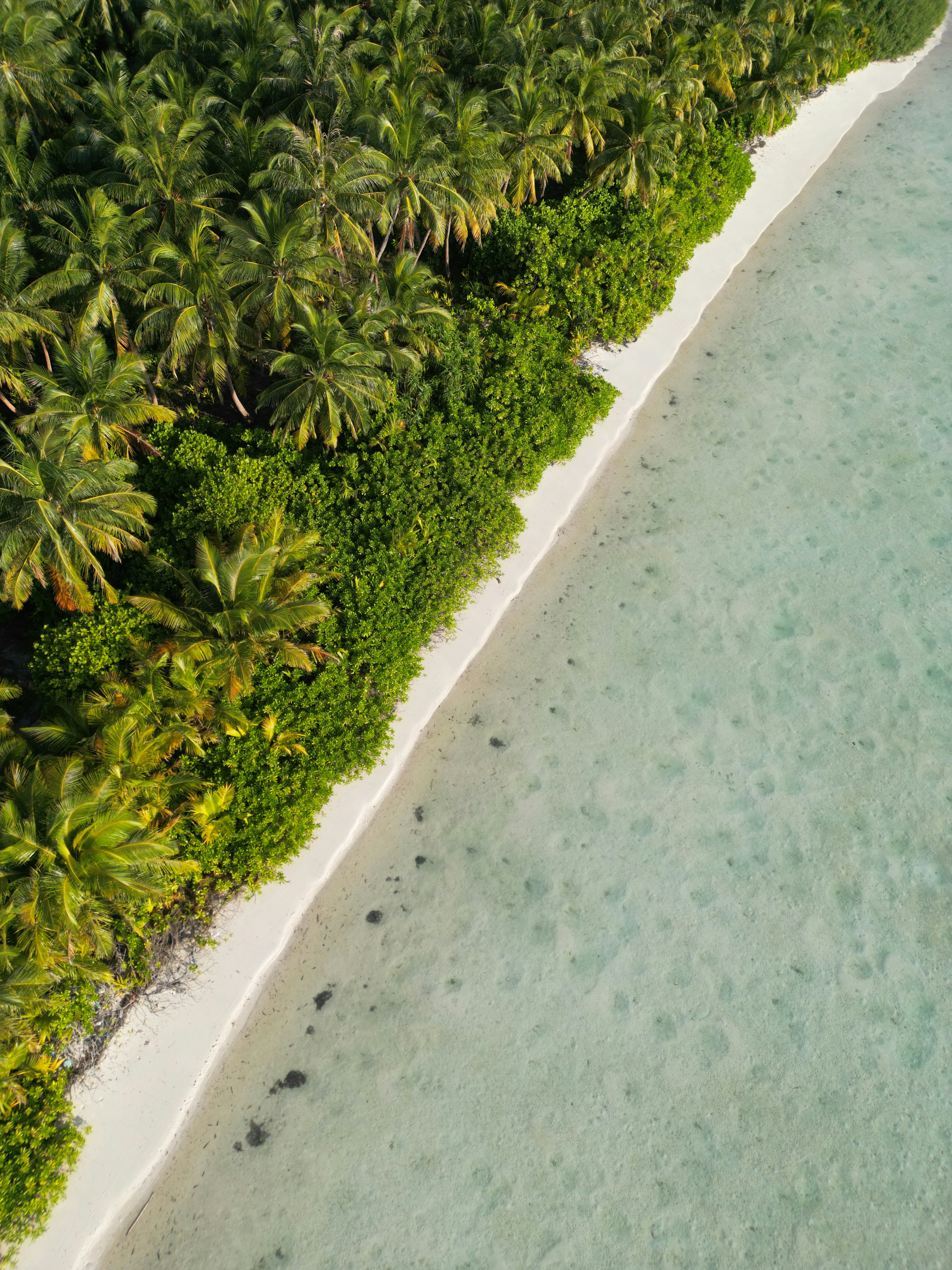 Photo by jumanjiphotos