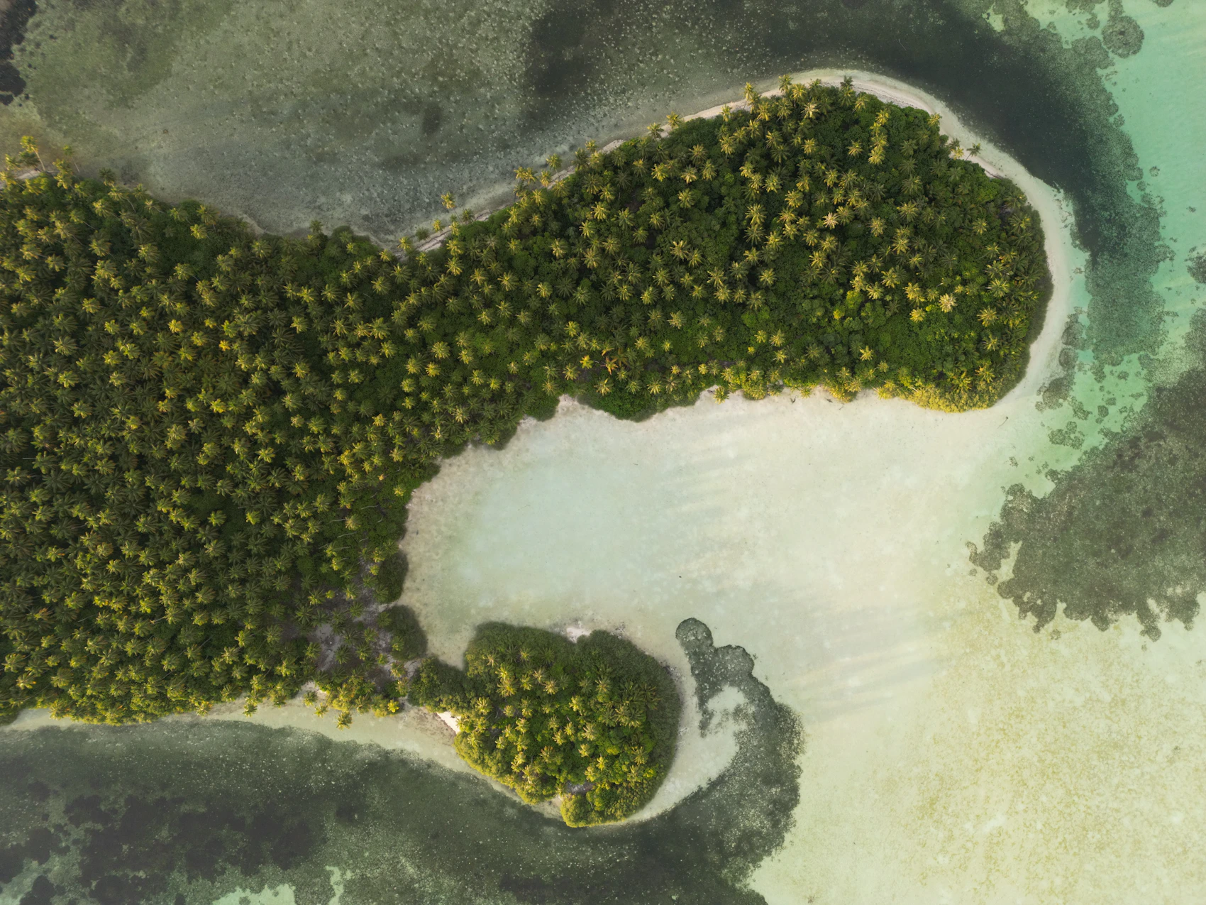 Aerial view of Dhanbidhoo Island surrounded by clear turquoise water, Maldives