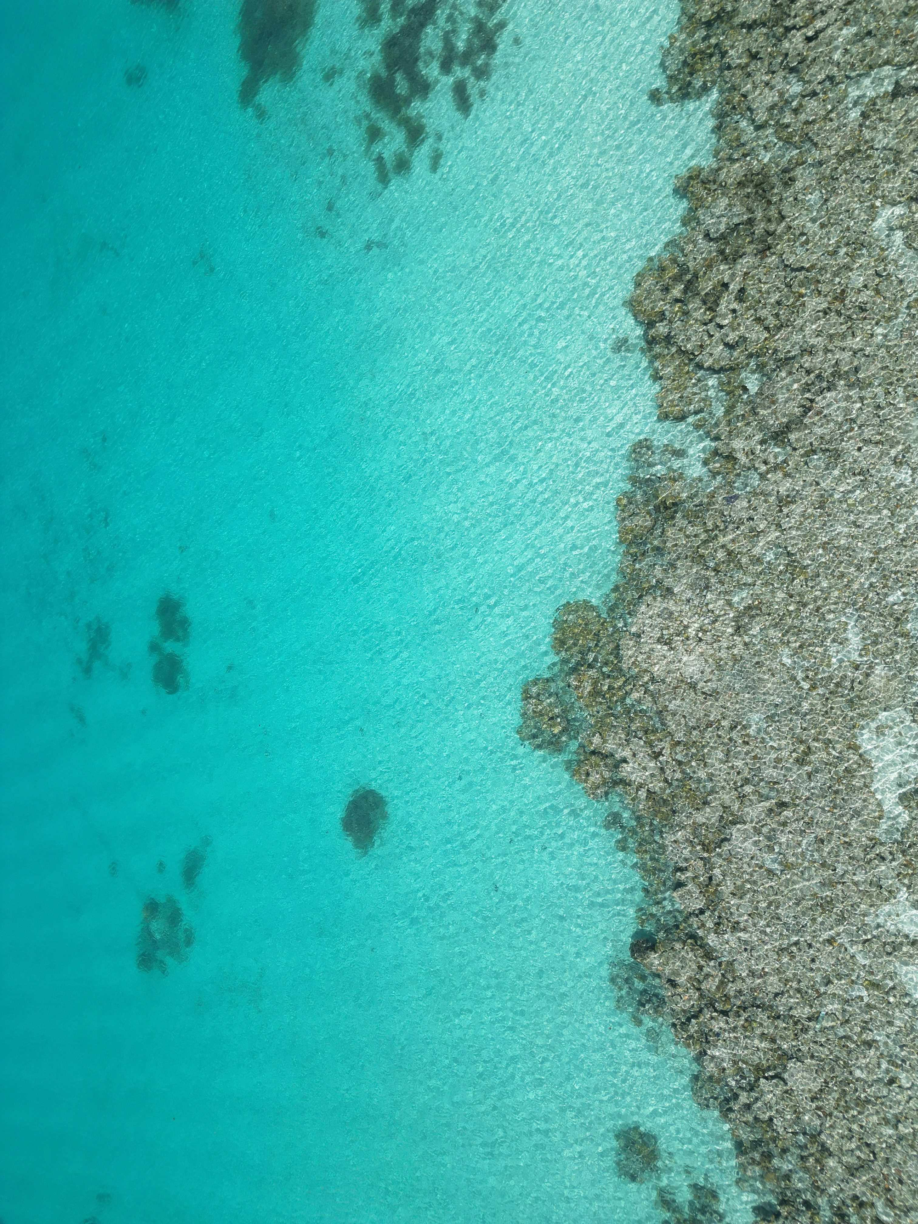 Photo by jumanjiphotos