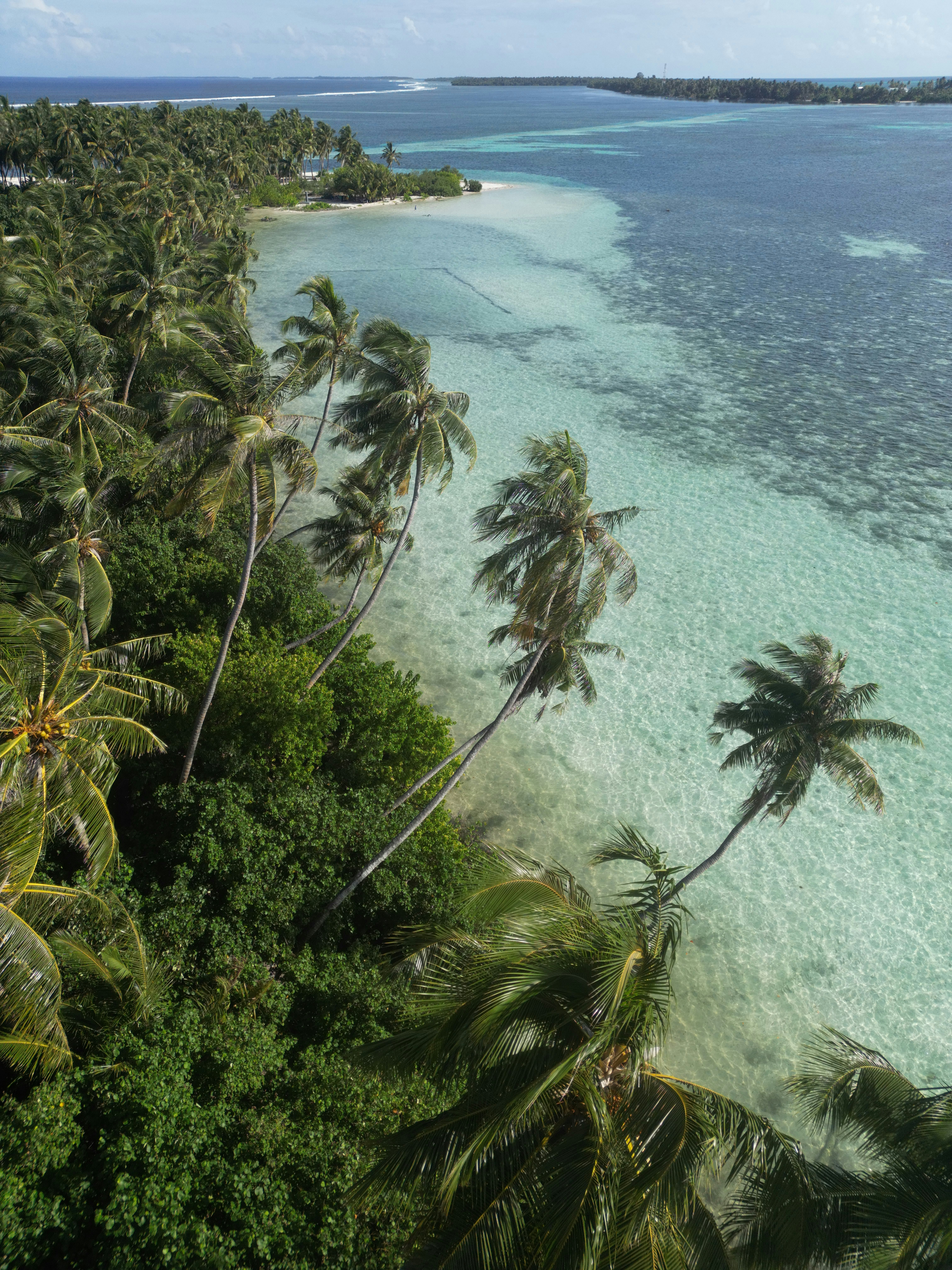 Photo by jumanjiphotos