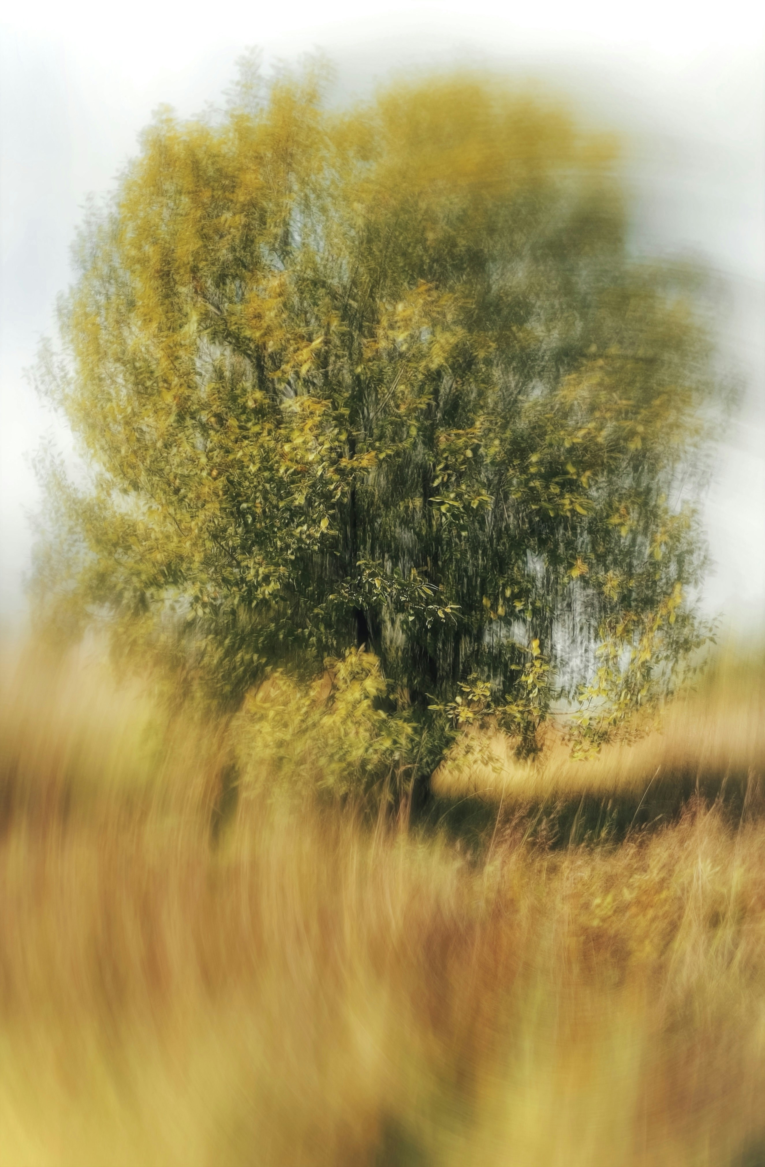 Photo by eugene_golovesov