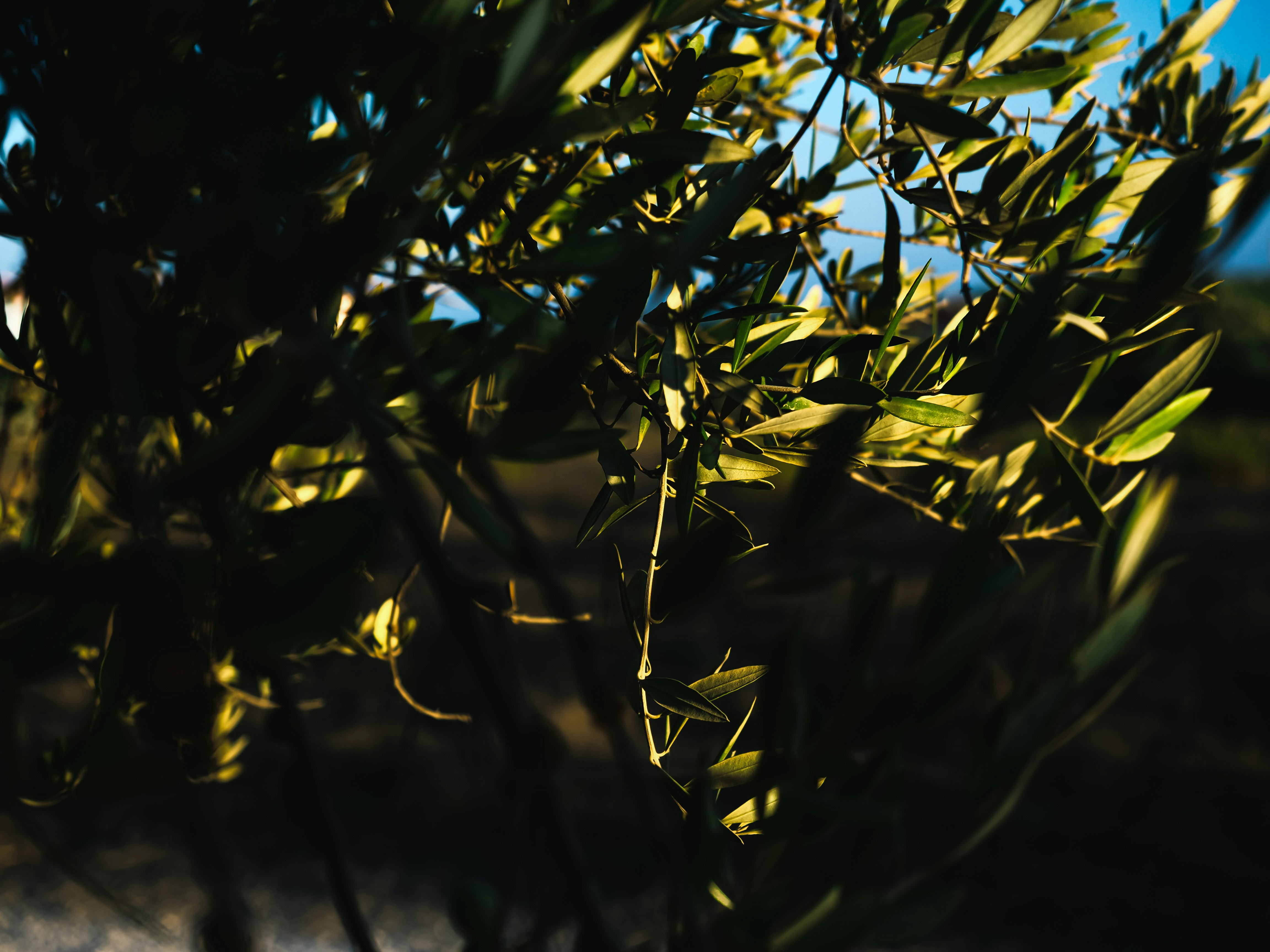 Photo by bienculina89