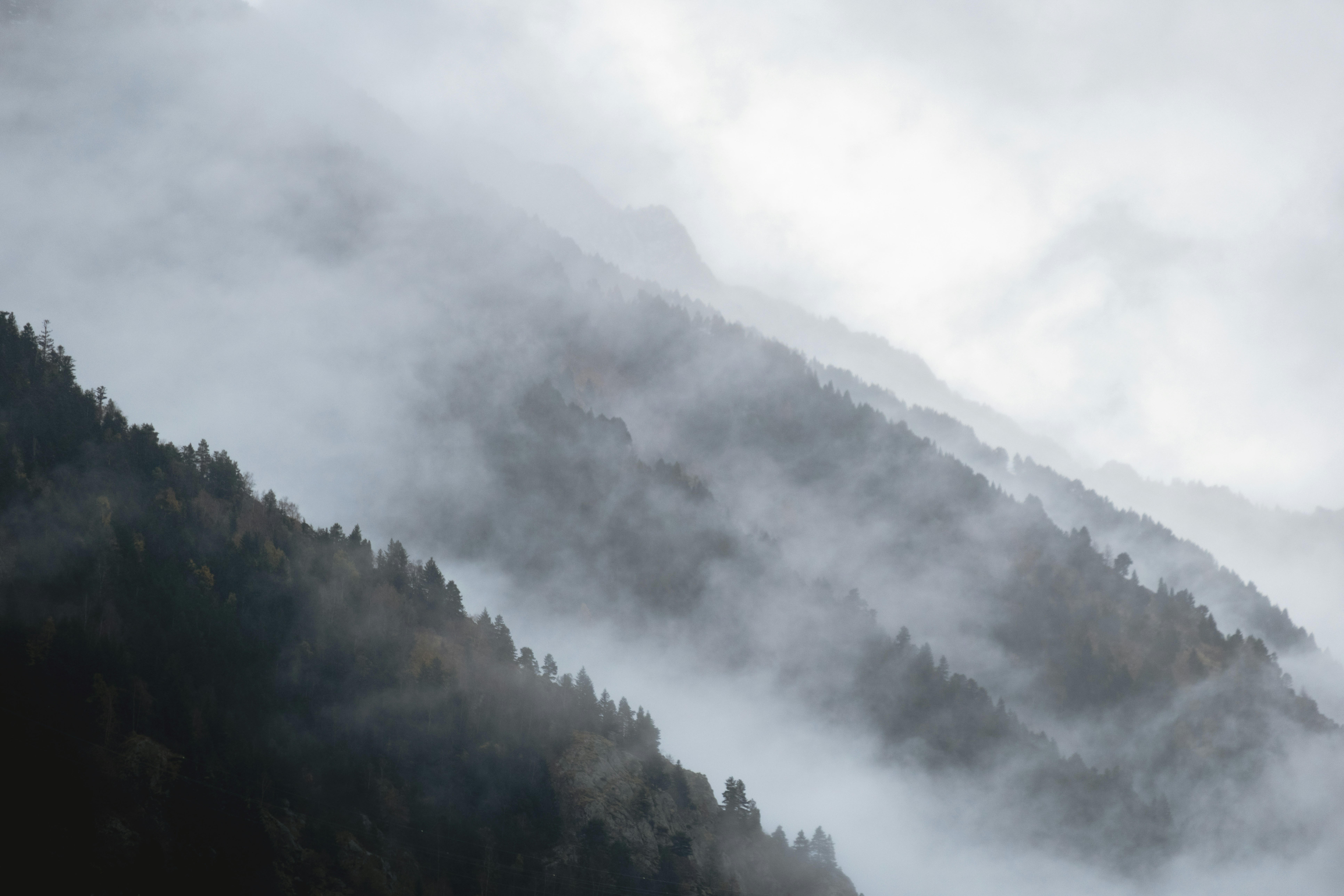 Photo by damiendufourphotographie