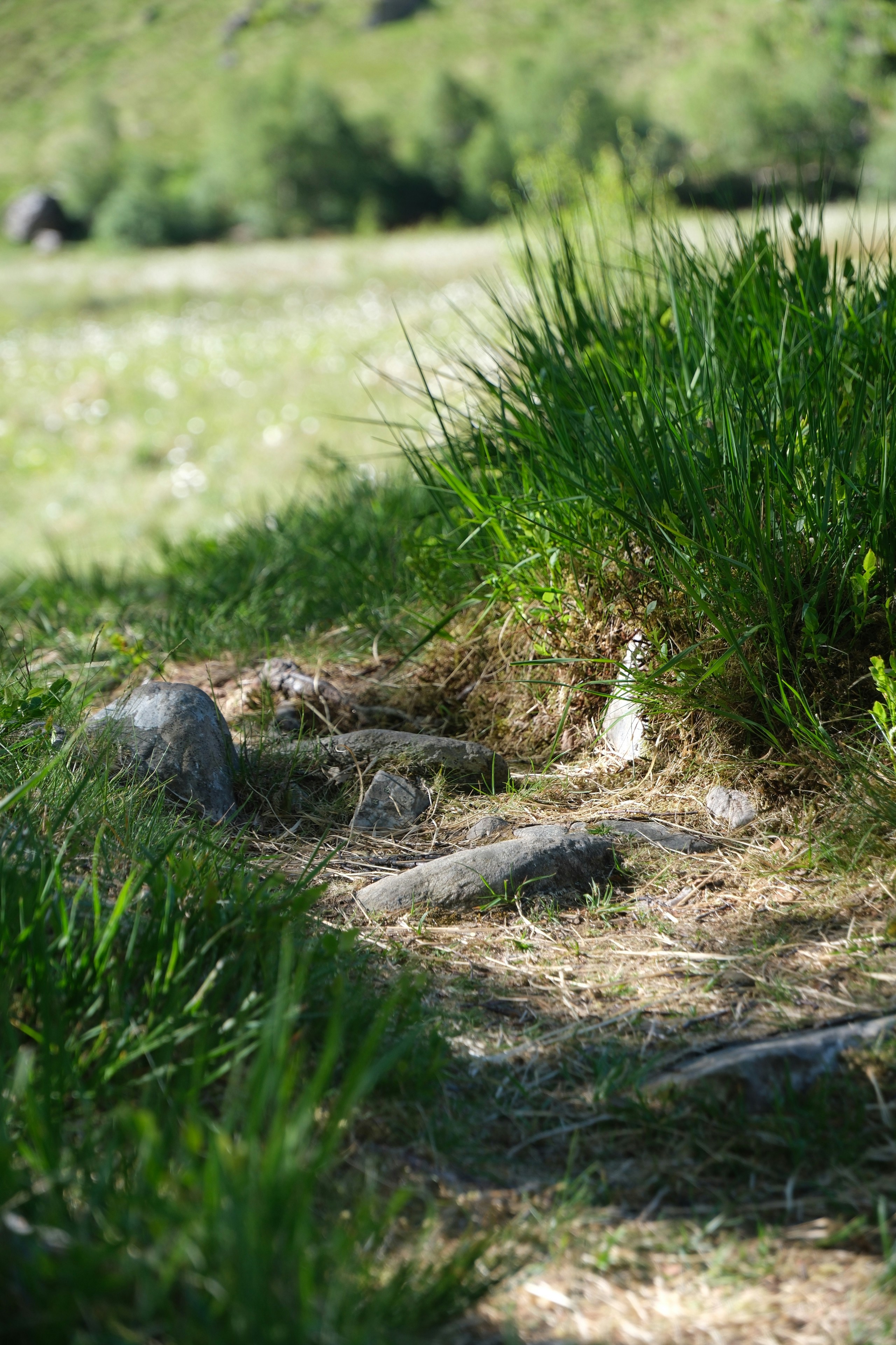 Photo by nikoverbeke