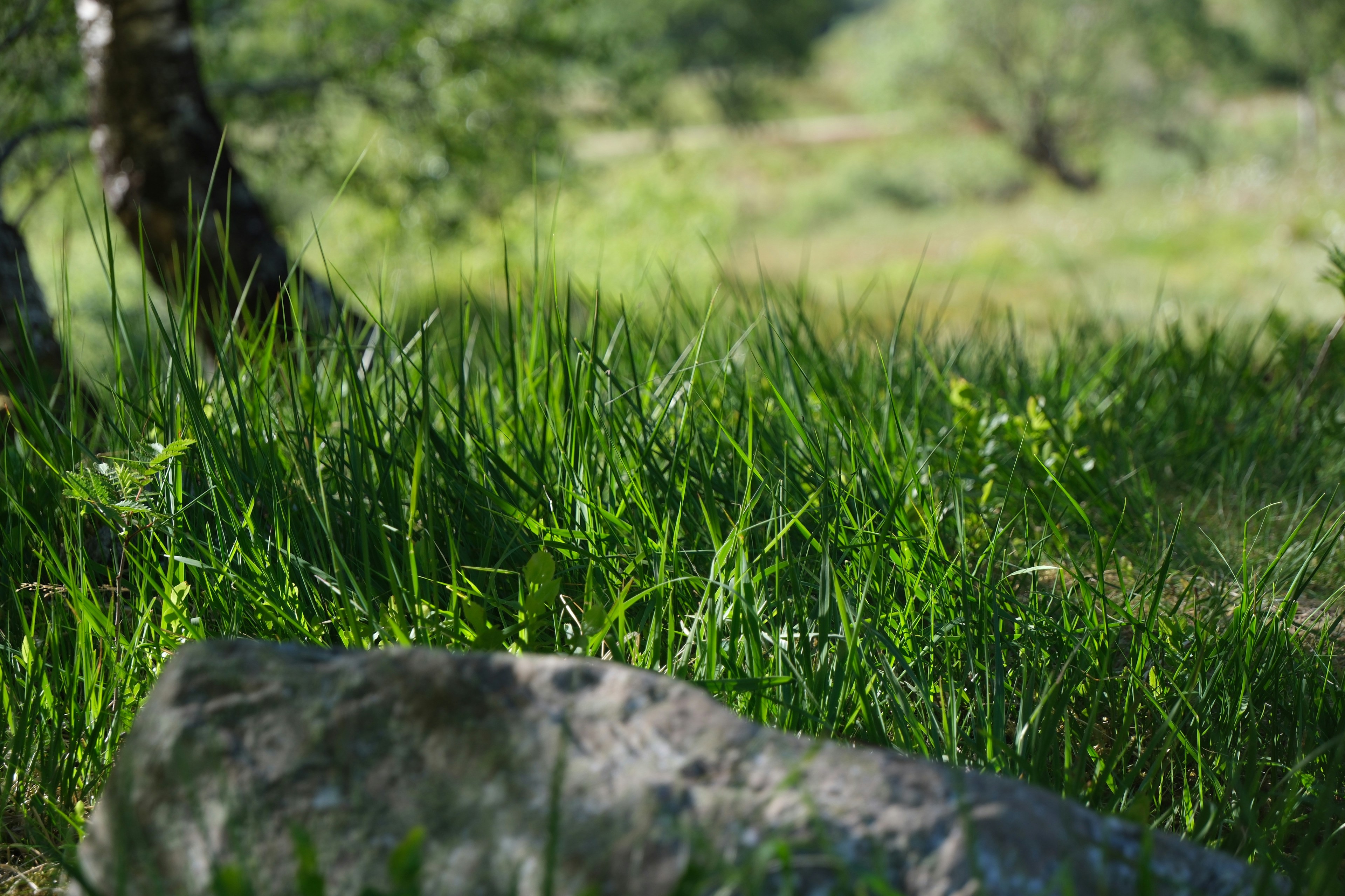 Photo by nikoverbeke