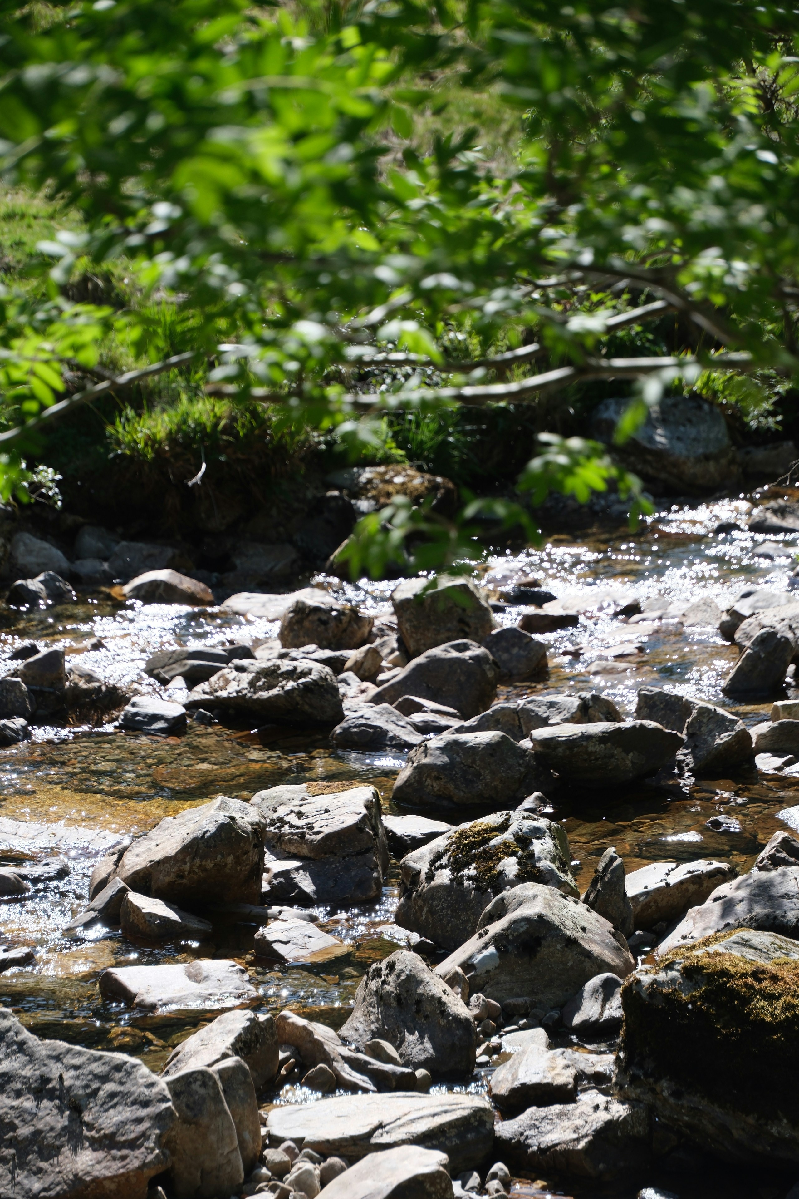 Photo by nikoverbeke