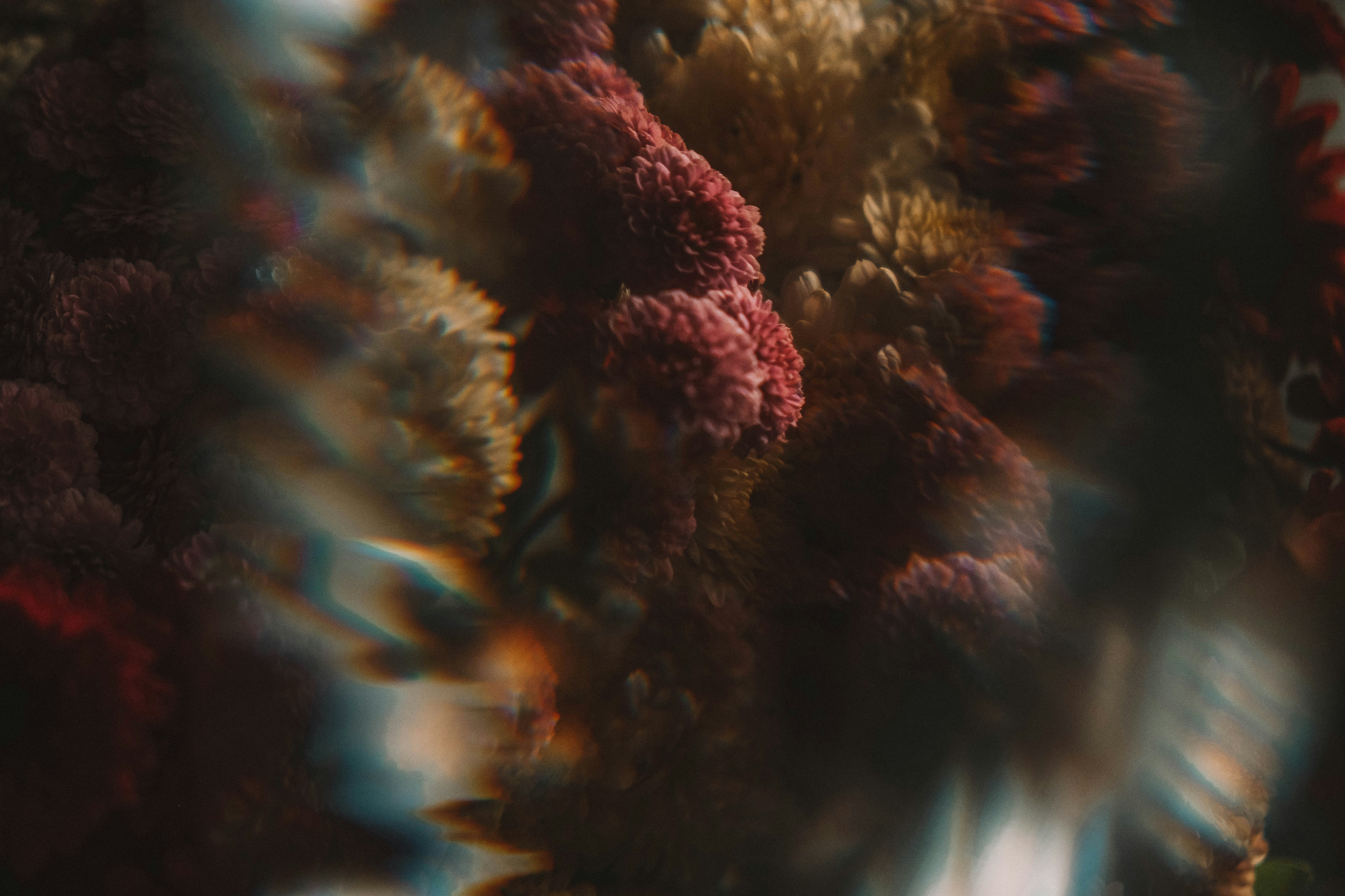 Close-up of textured red and brown organic forms.