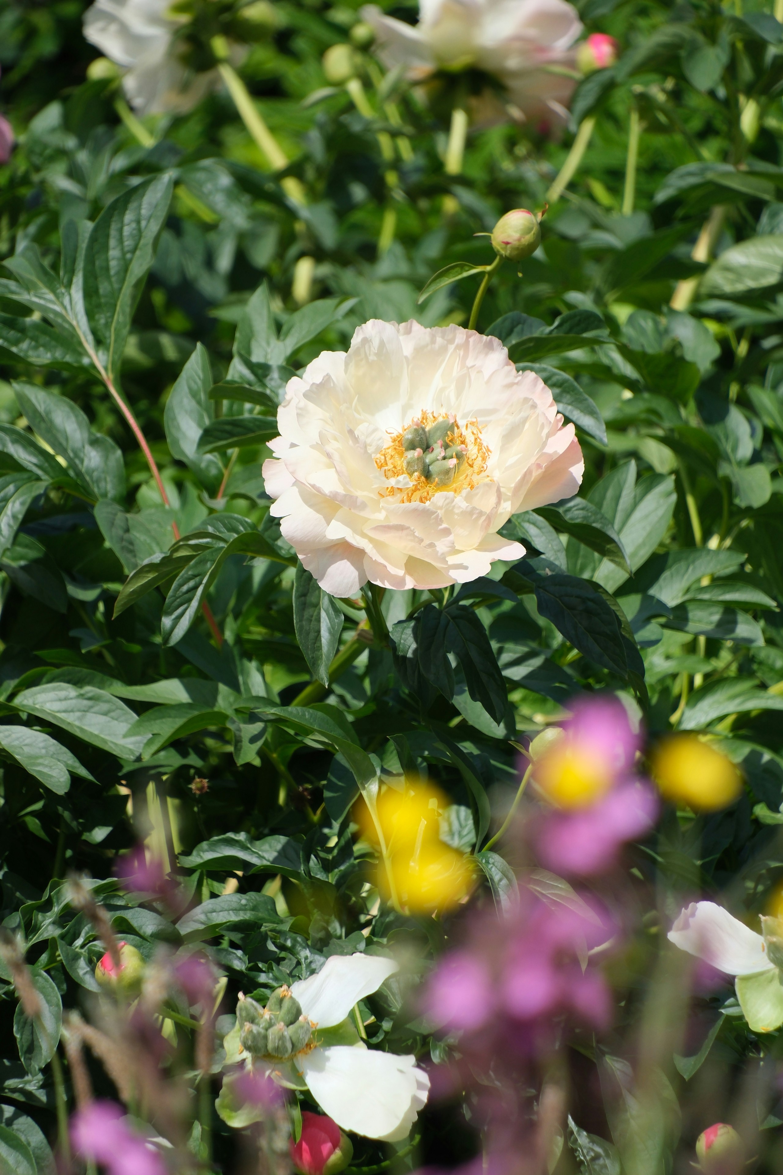 Photo by nikoverbeke