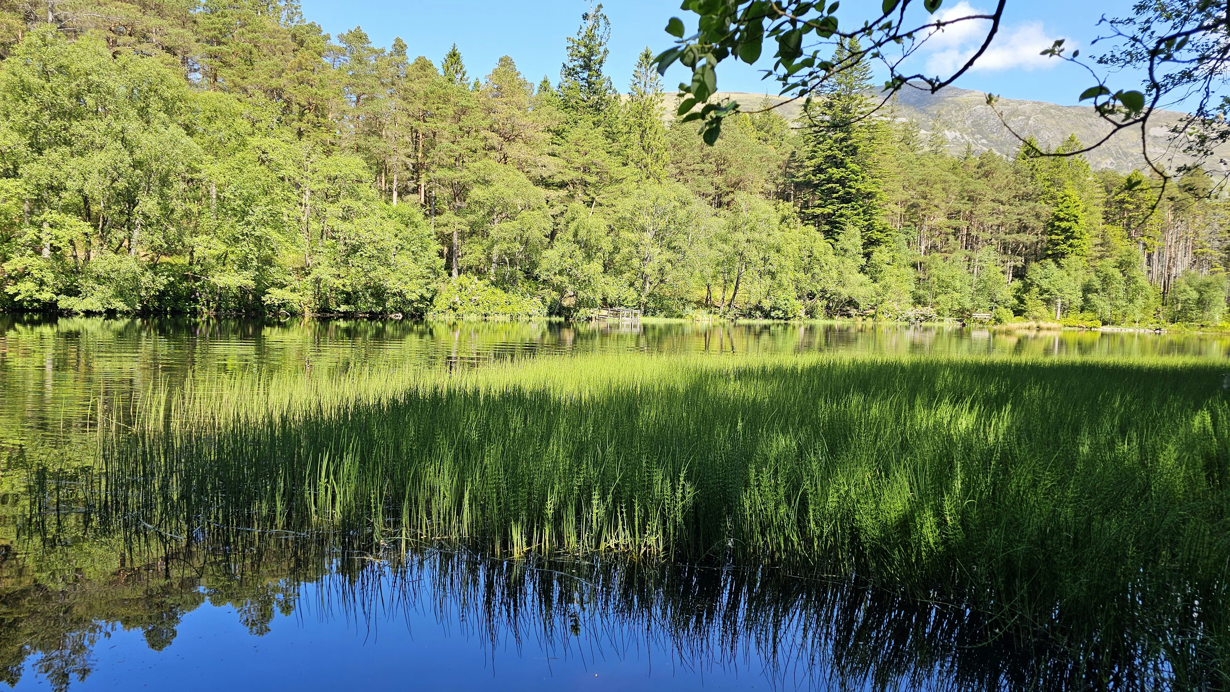 Photo by nikoverbeke