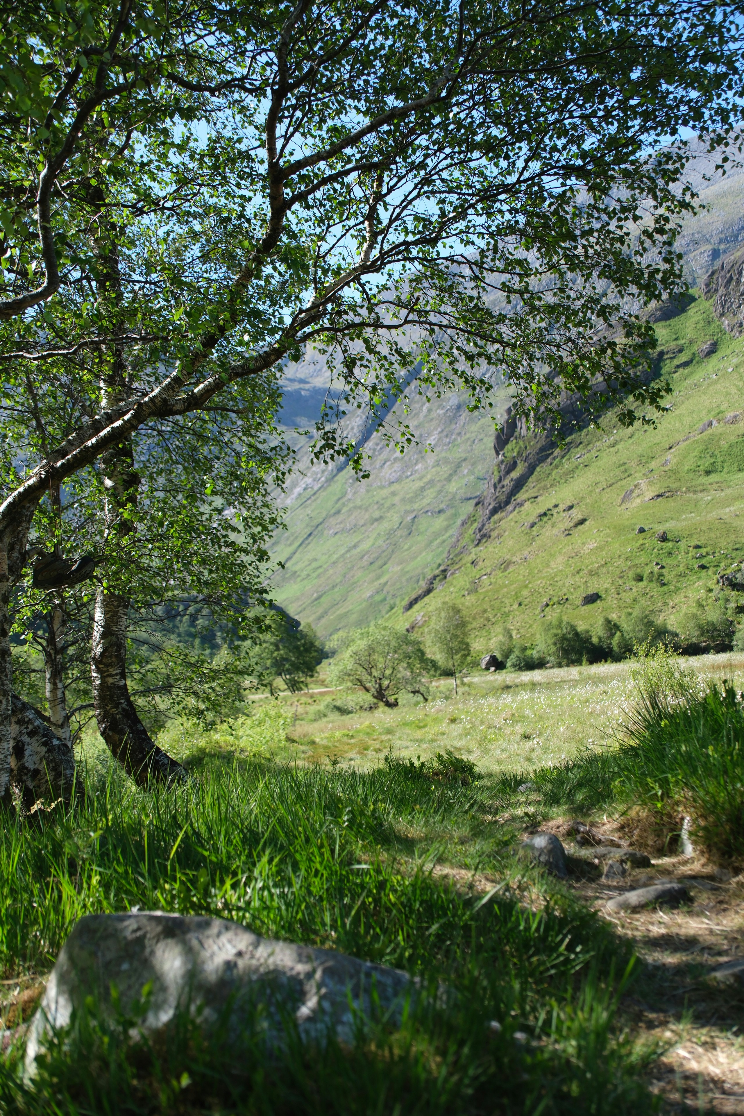 Photo by nikoverbeke