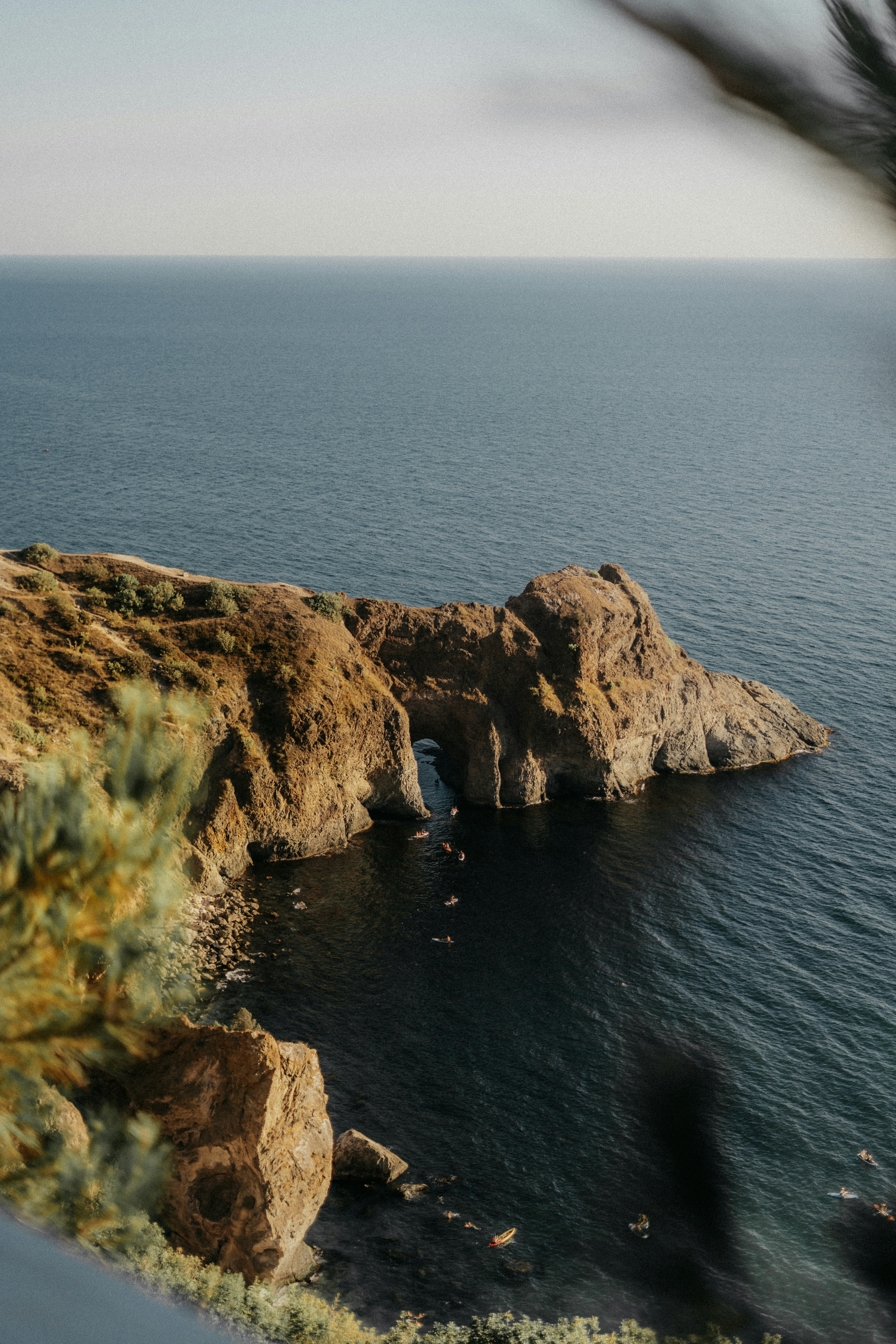 Photo by volkova_2897