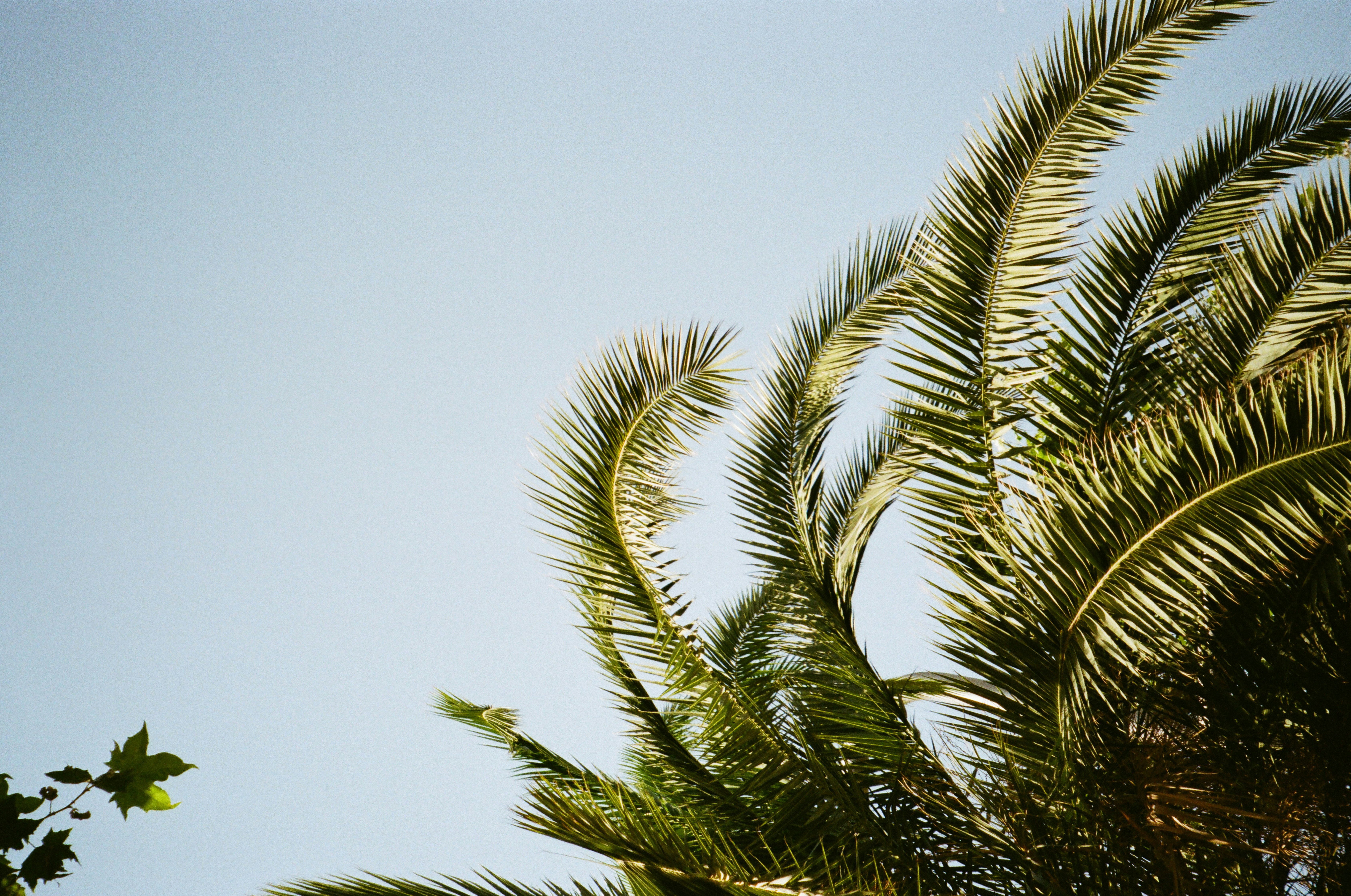 Photo by phantomsheart