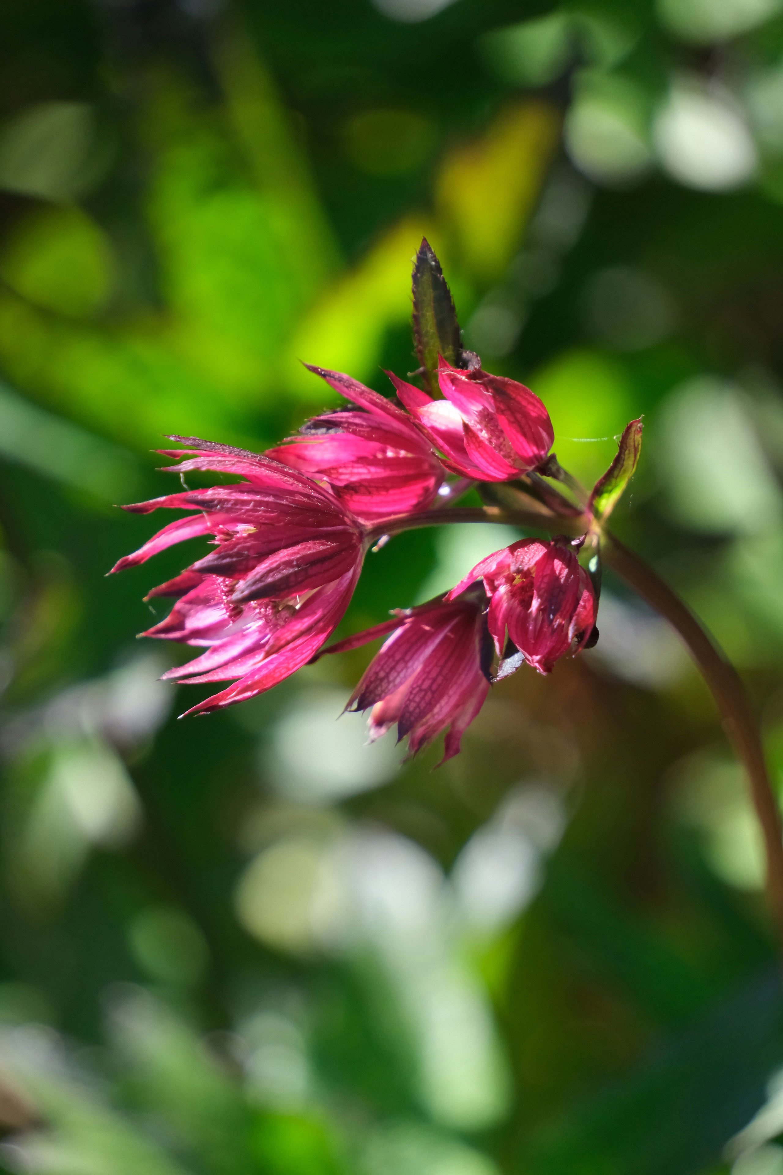 Photo by nikoverbeke